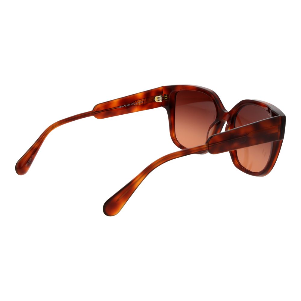 Max & Co Brown Plastic Sunglasses | Regal Royce