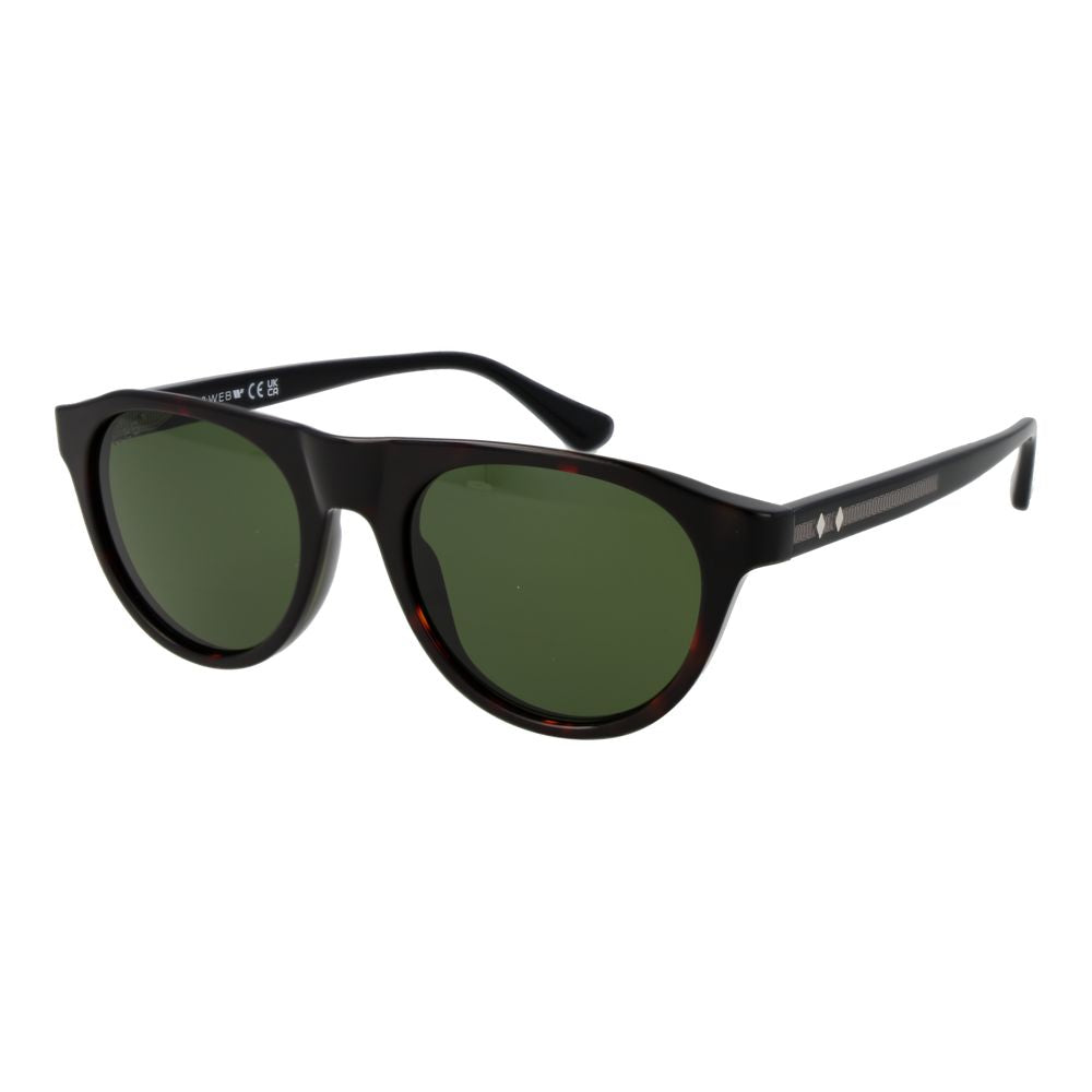 Web Brown Plastic Sunglasses | Regal Royce
