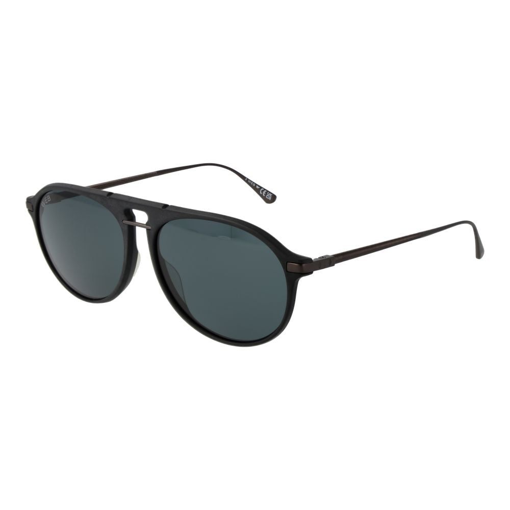 Web Black Titanium Sunglasses | Regal Royce