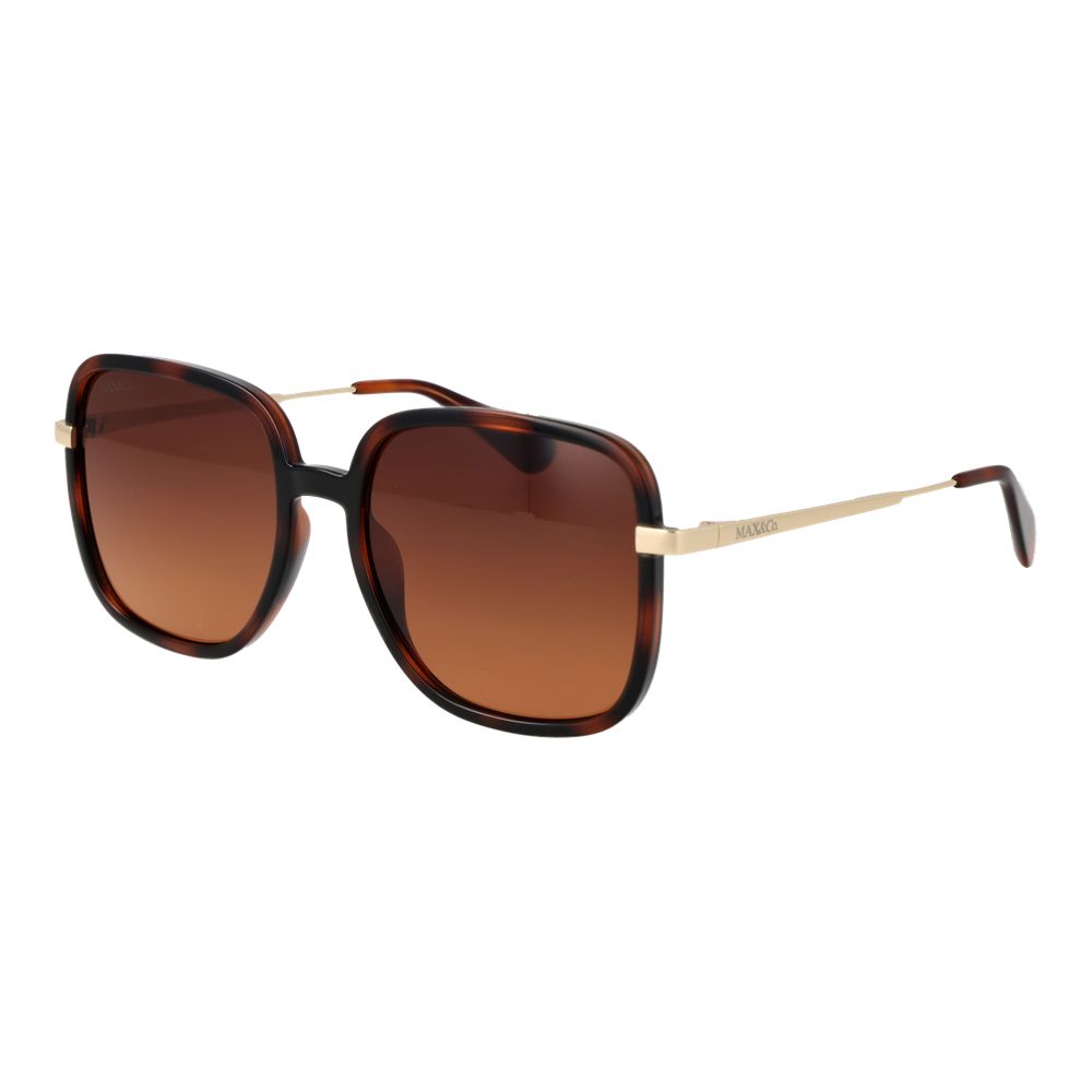 Max & Co Brown Plastic Sunglasses | Regal Royce