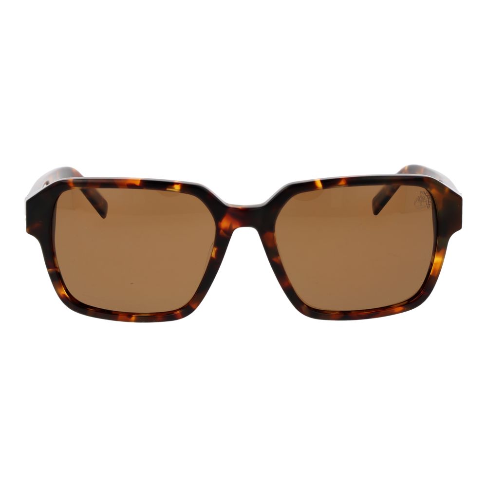 Timberland Brown Acetate Sunglasses | Regal Royce