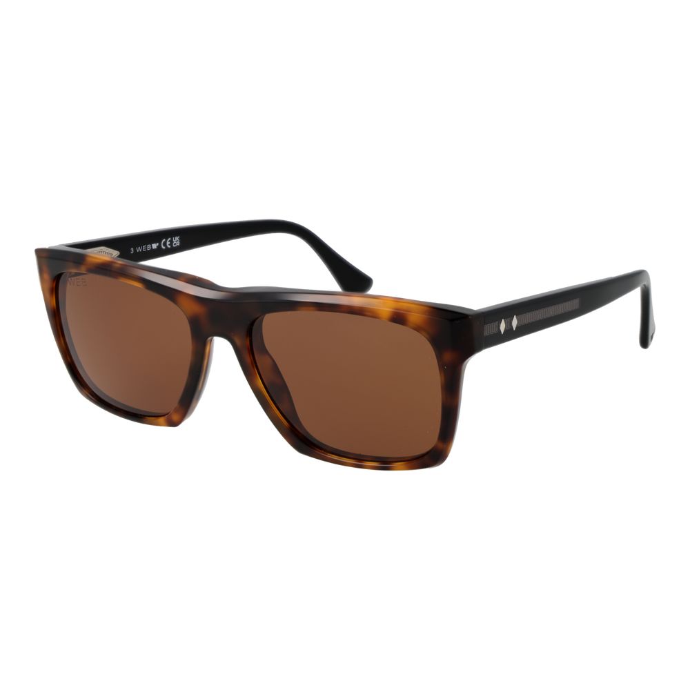 Web Brown Acetate Sunglasses | Regal Royce