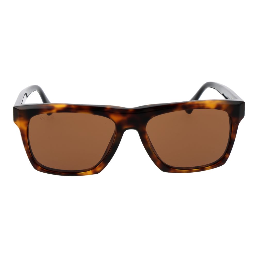 Web Brown Acetate Sunglasses | Regal Royce