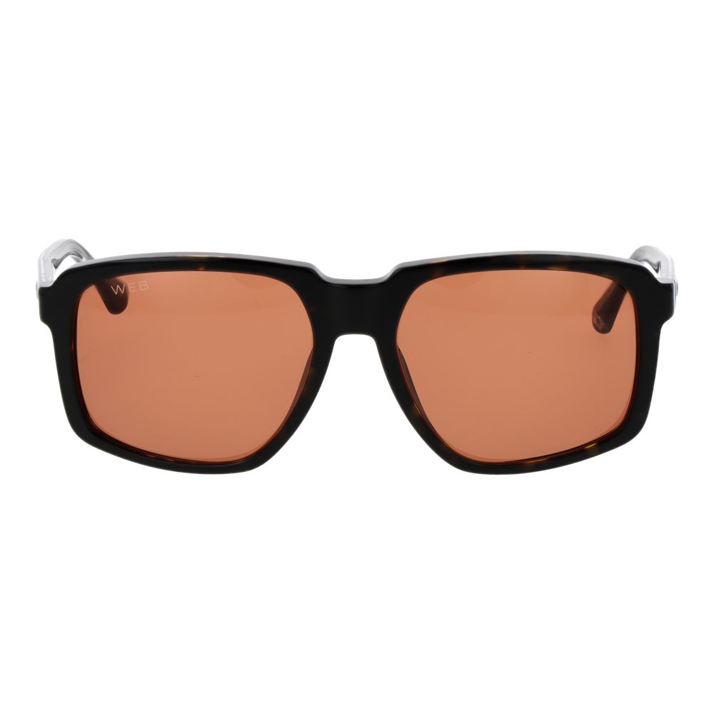 Web Brown Acetate Sunglasses | Regal Royce