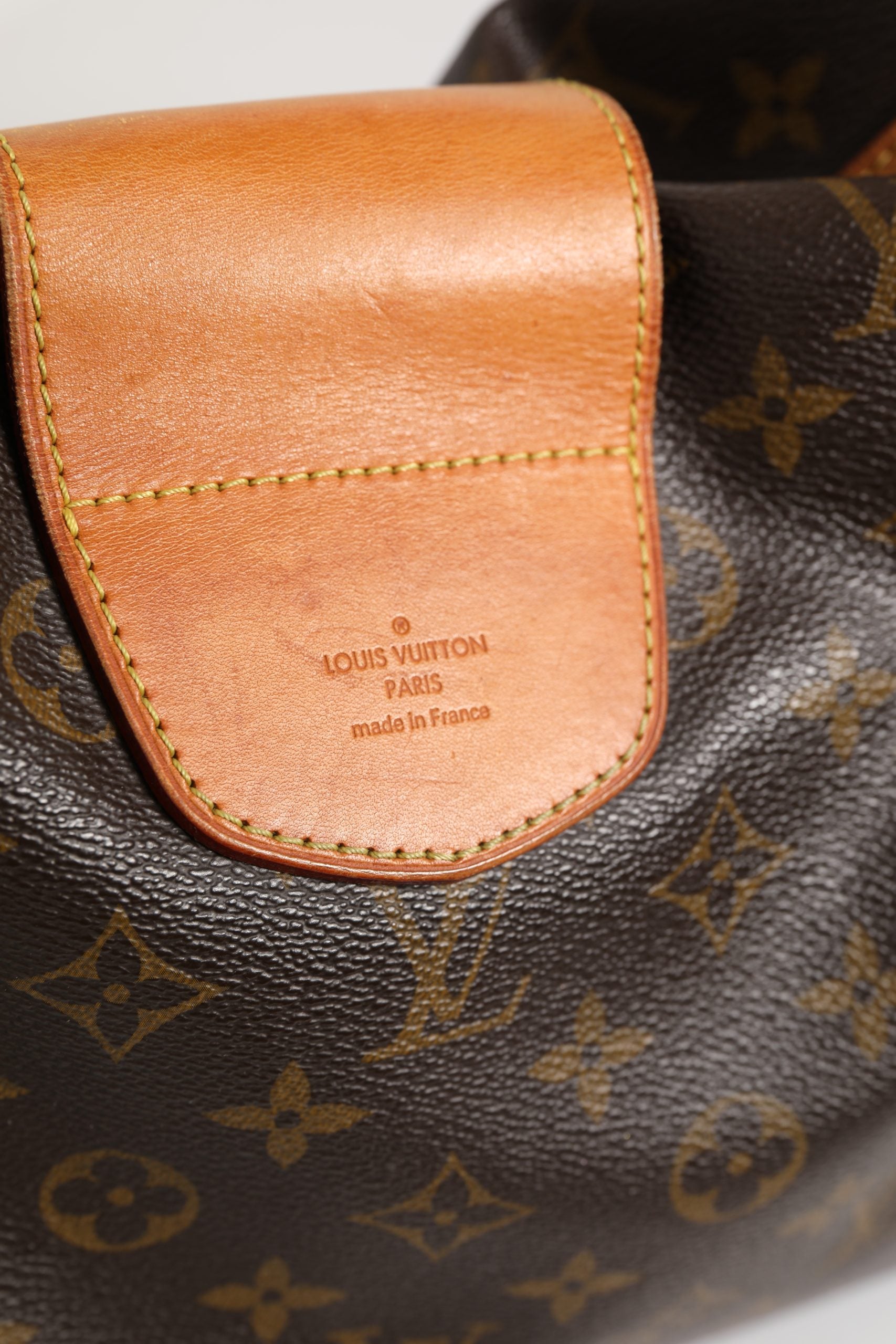 Louis Vuitton Monogram Canvas Stresa GM Bag | Regal Royce