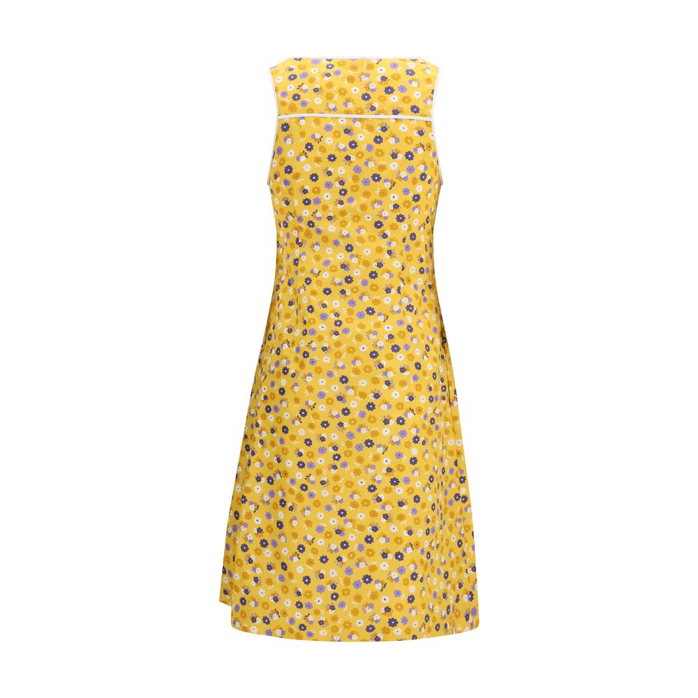 Miu Miu Bicolor Cotton Casual Dress | Regal Royce