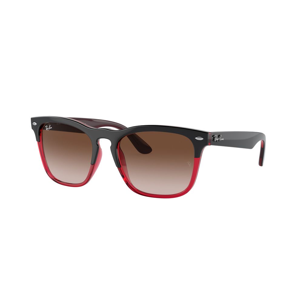 Ray-Ban Multicolor Nylon Sunglasses | Regal Royce