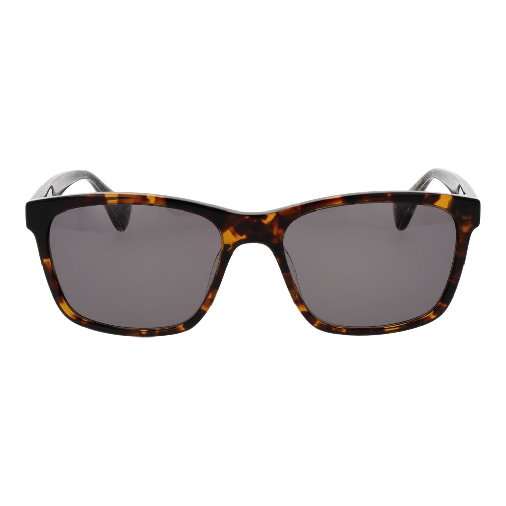 Ted Baker Brown Acetate Sunglasses | Regal Royce