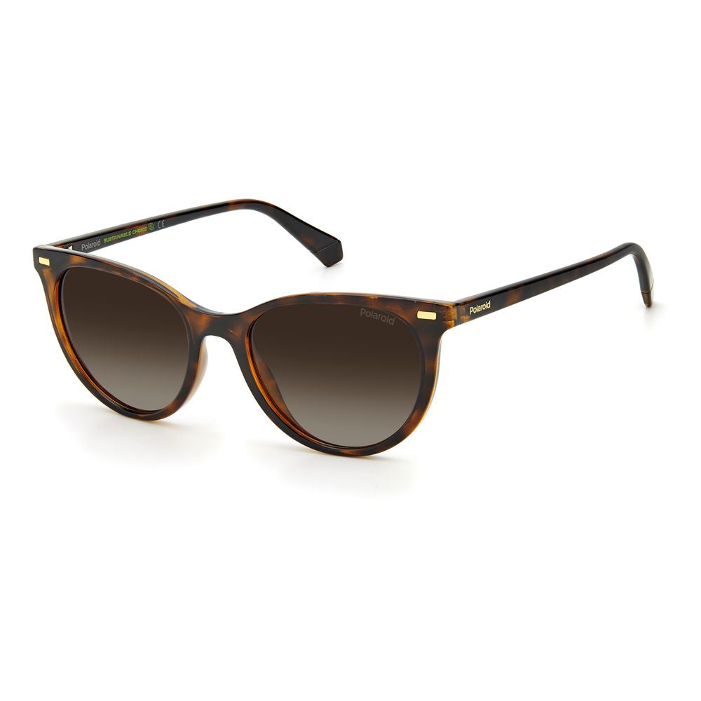 Polaroid Brown Resin Sunglasses | Regal Royce