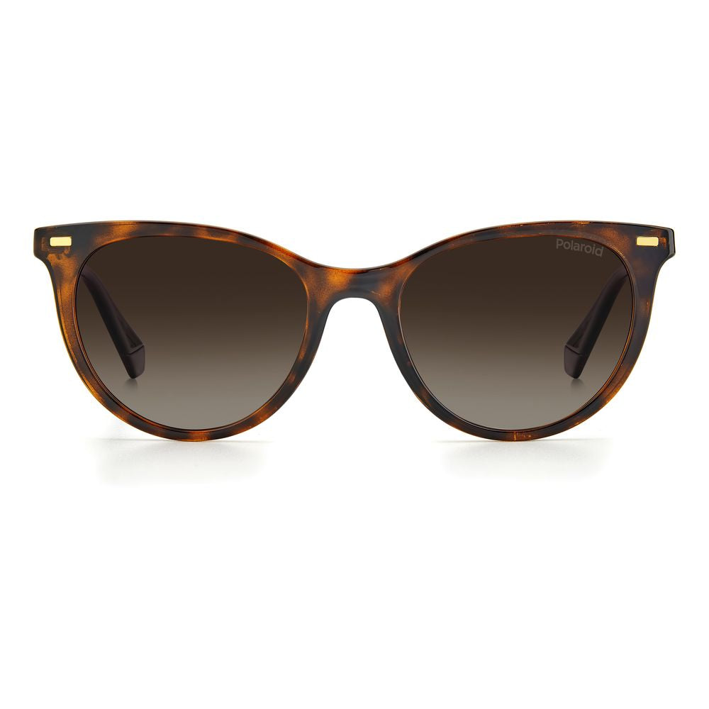 Polaroid Brown Resin Sunglasses | Regal Royce