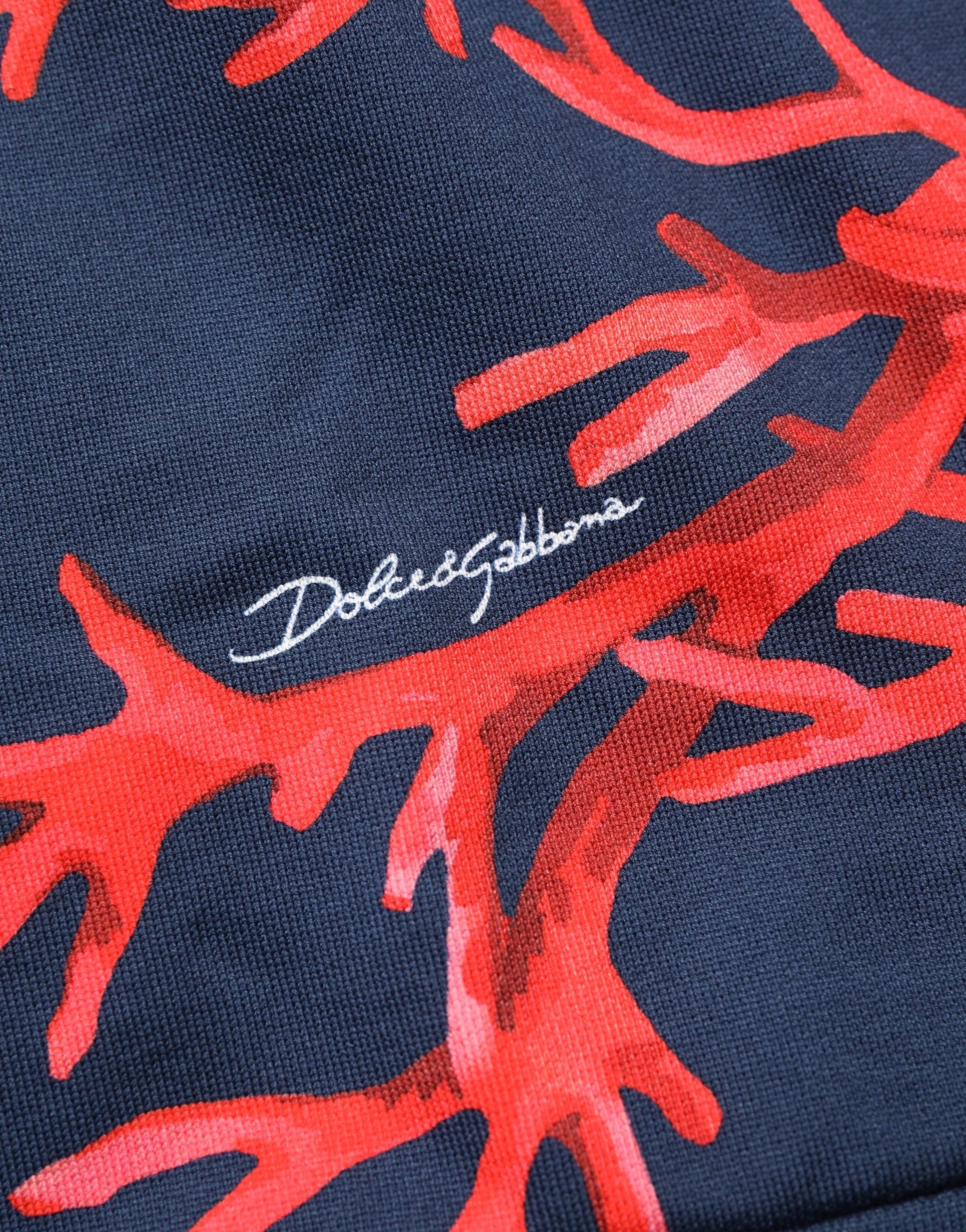 Dolce & Gabbana Blue Cotton Coral Logo Hooded Sweatshirt Sweater | Regal Royce