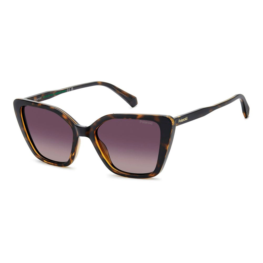 Polaroid Brown Polycarbonate Sunglasses | Regal Royce