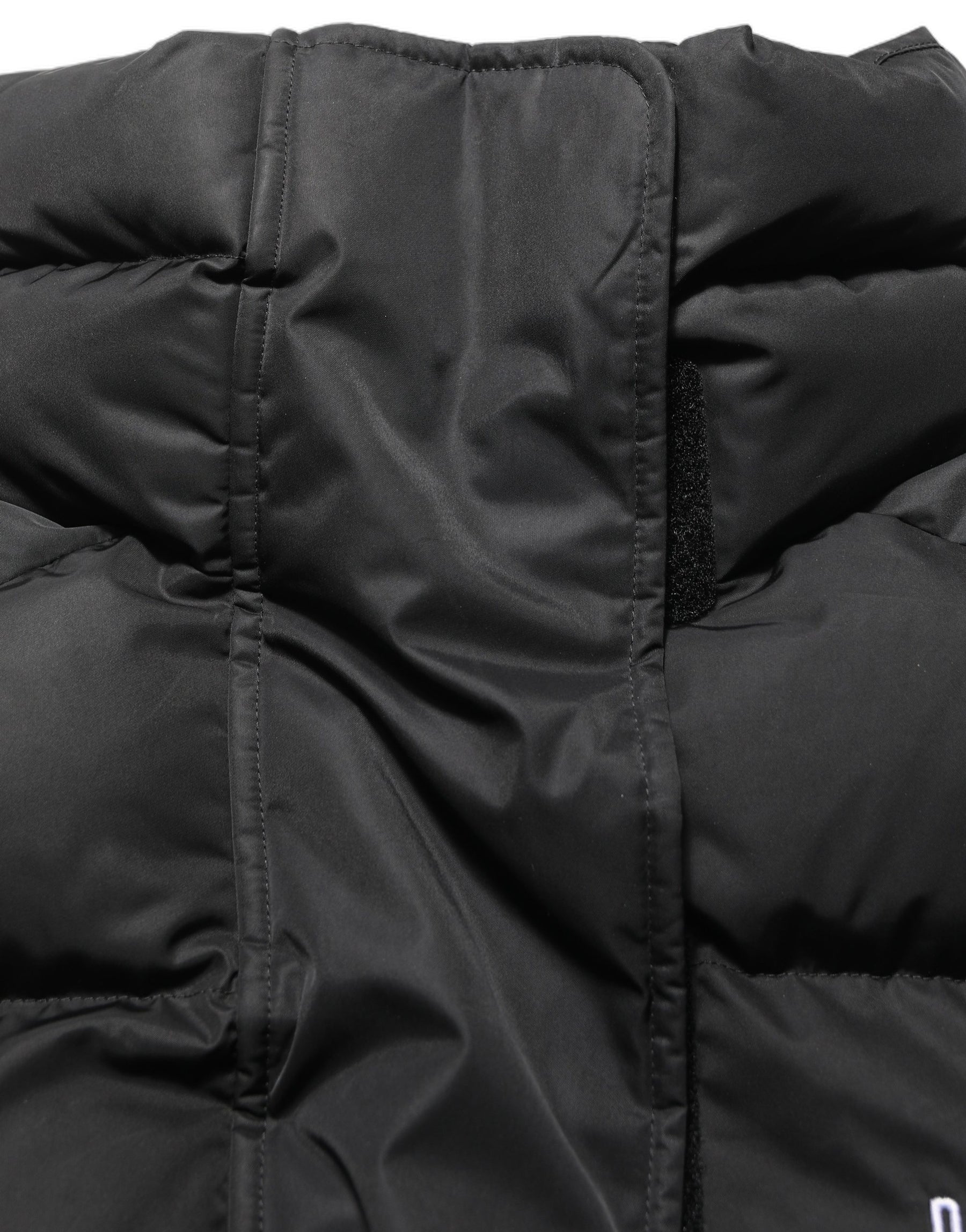 Dolce & Gabbana Black DGVIB3 Embroidered Padded Puffer Jacket | Regal Royce