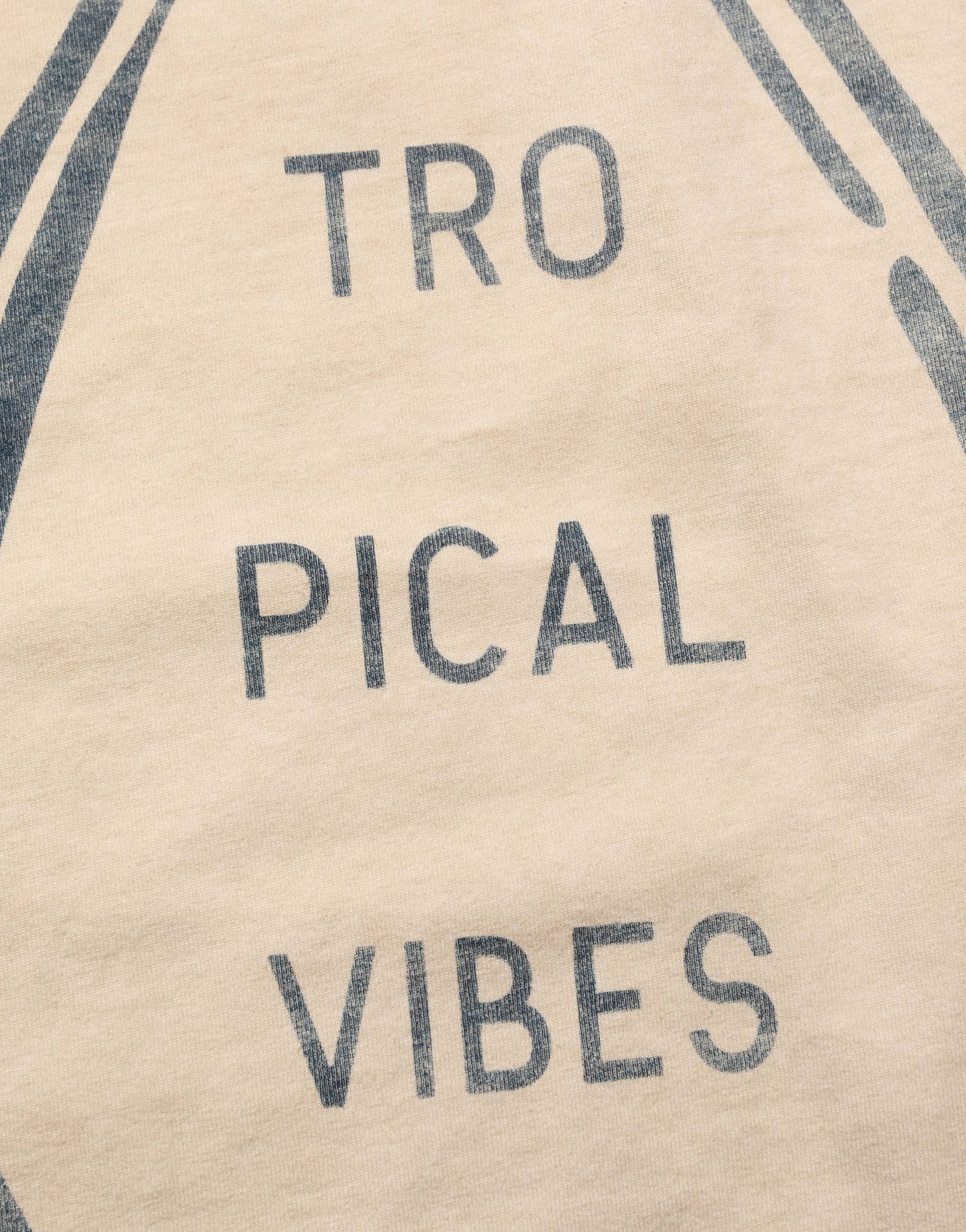 Dolce & Gabbana Beige Cotton Graphic Print Crew Neck T-shirt | Regal Royce