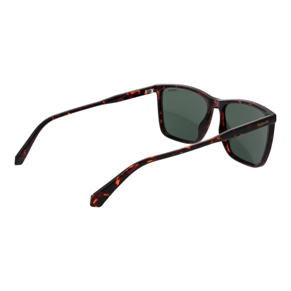 Polaroid Brown Plastic Sunglasses | Regal Royce