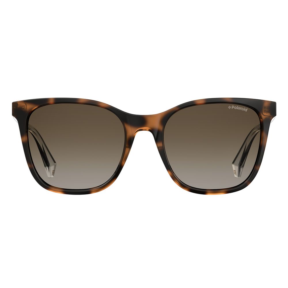 Polaroid Brown Plastic Sunglasses | Regal Royce
