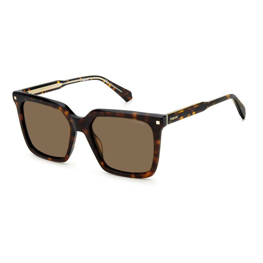 Polaroid Brown Acetate Sunglasses | Regal Royce