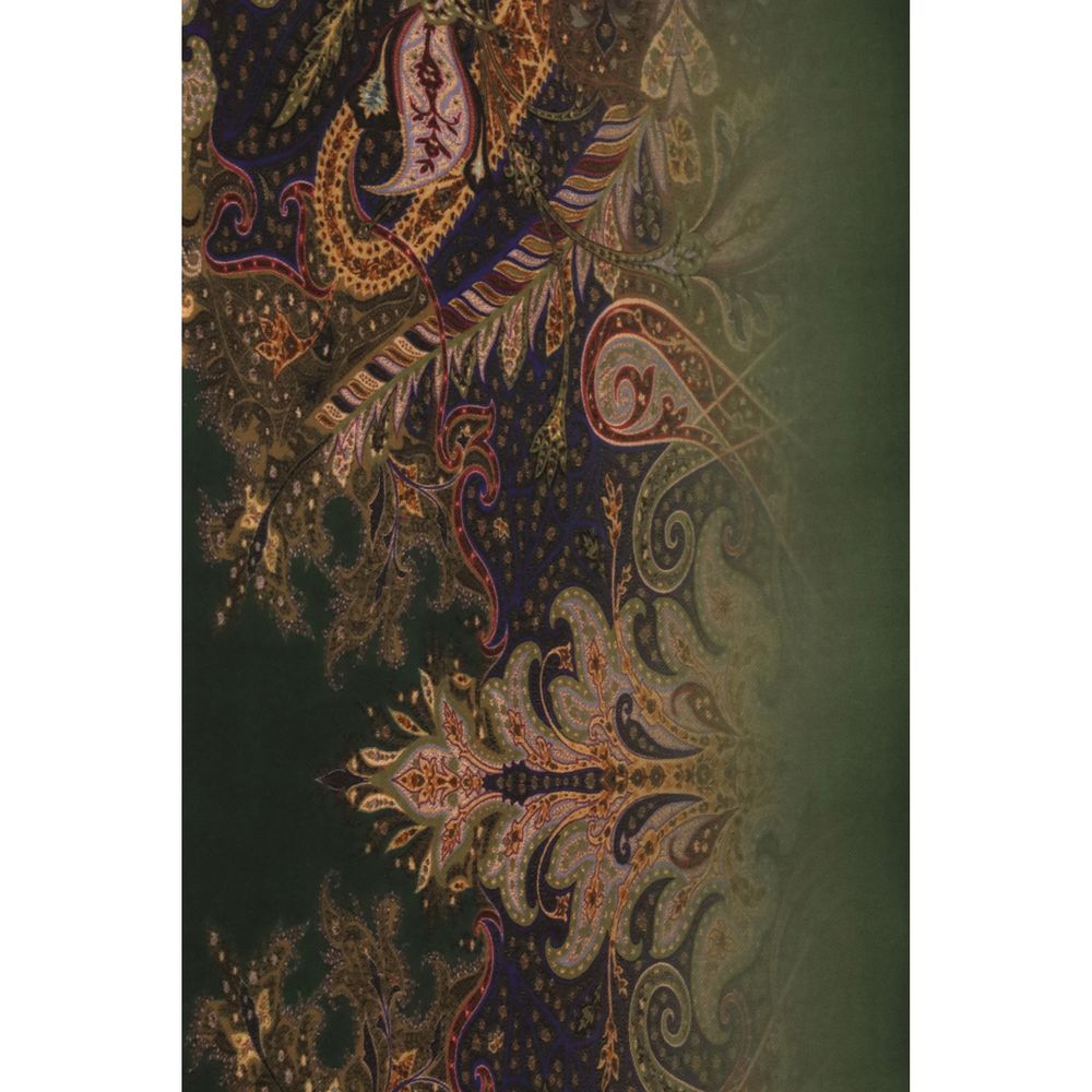 Etro Multicolor Modal Scarf | Regal Royce
