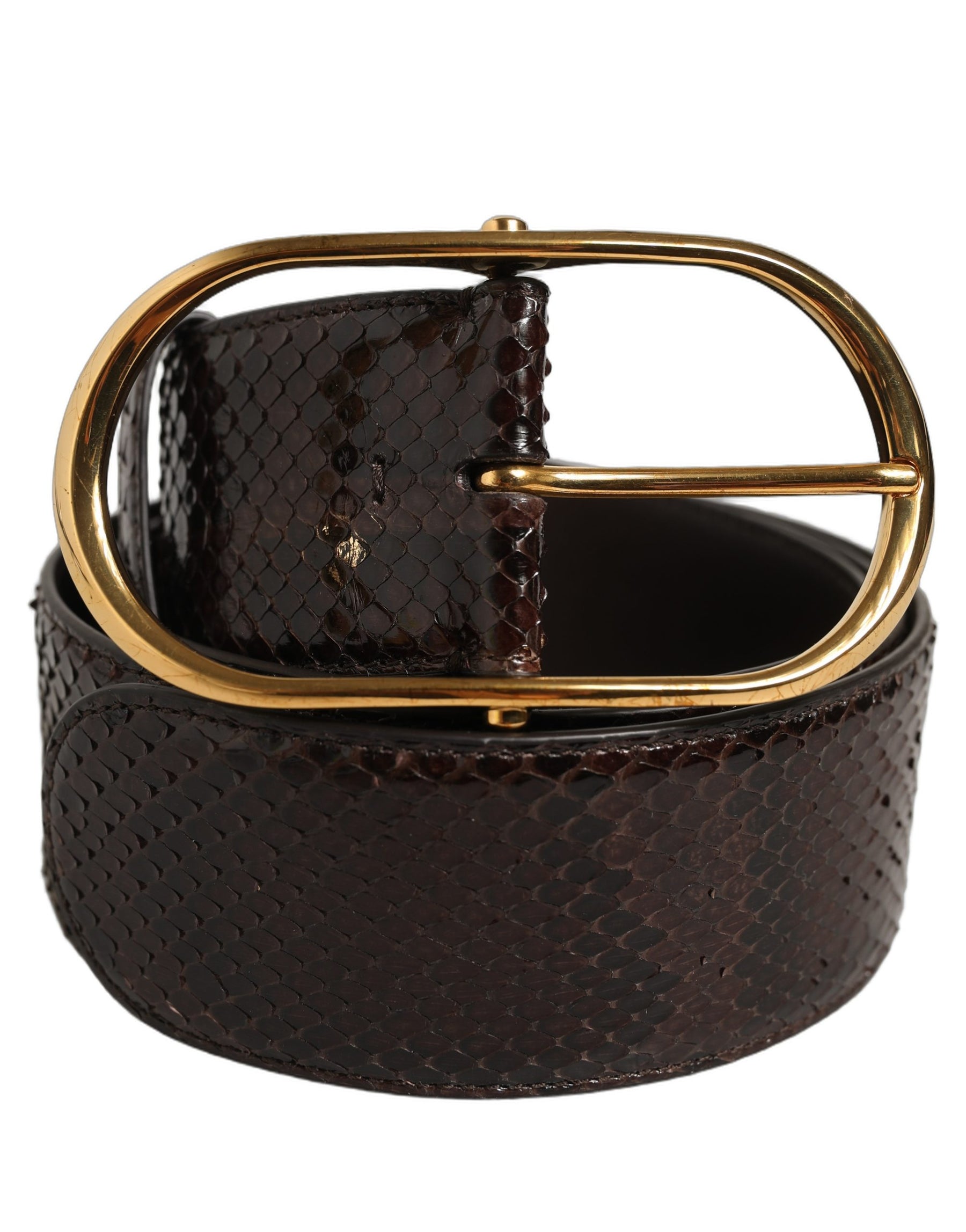 Dolce & Gabbana Brown Python Leather Gold Metal Buckle Belt | Regal Royce