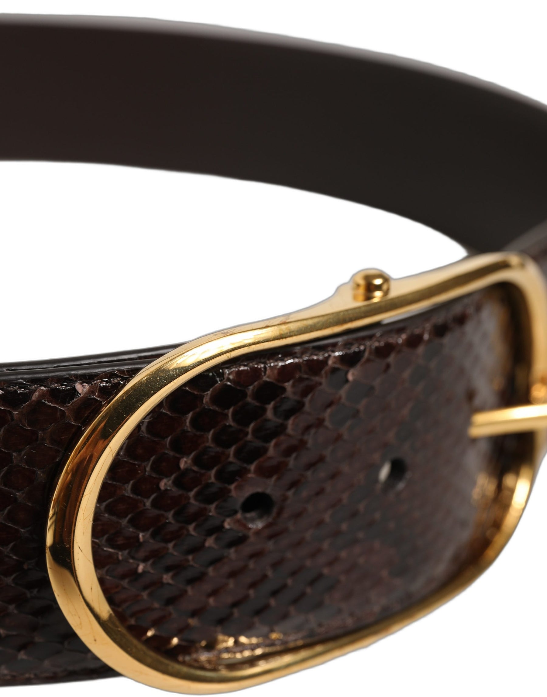 Dolce & Gabbana Brown Python Leather Gold Metal Buckle Belt | Regal Royce