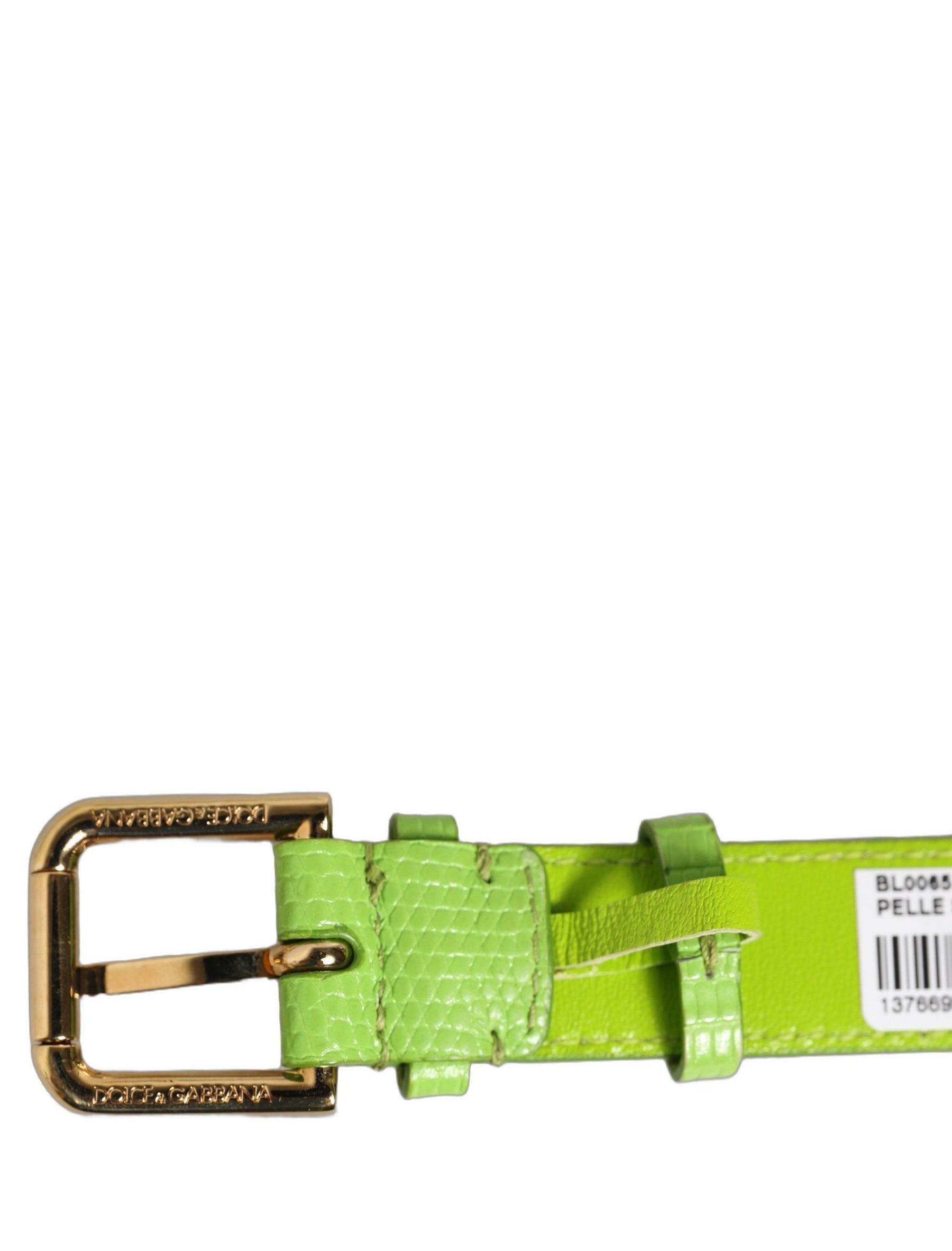 Dolce & Gabbana Green Textured Leather Gold Buckle Belt Strap Bracelet | Regal Royce