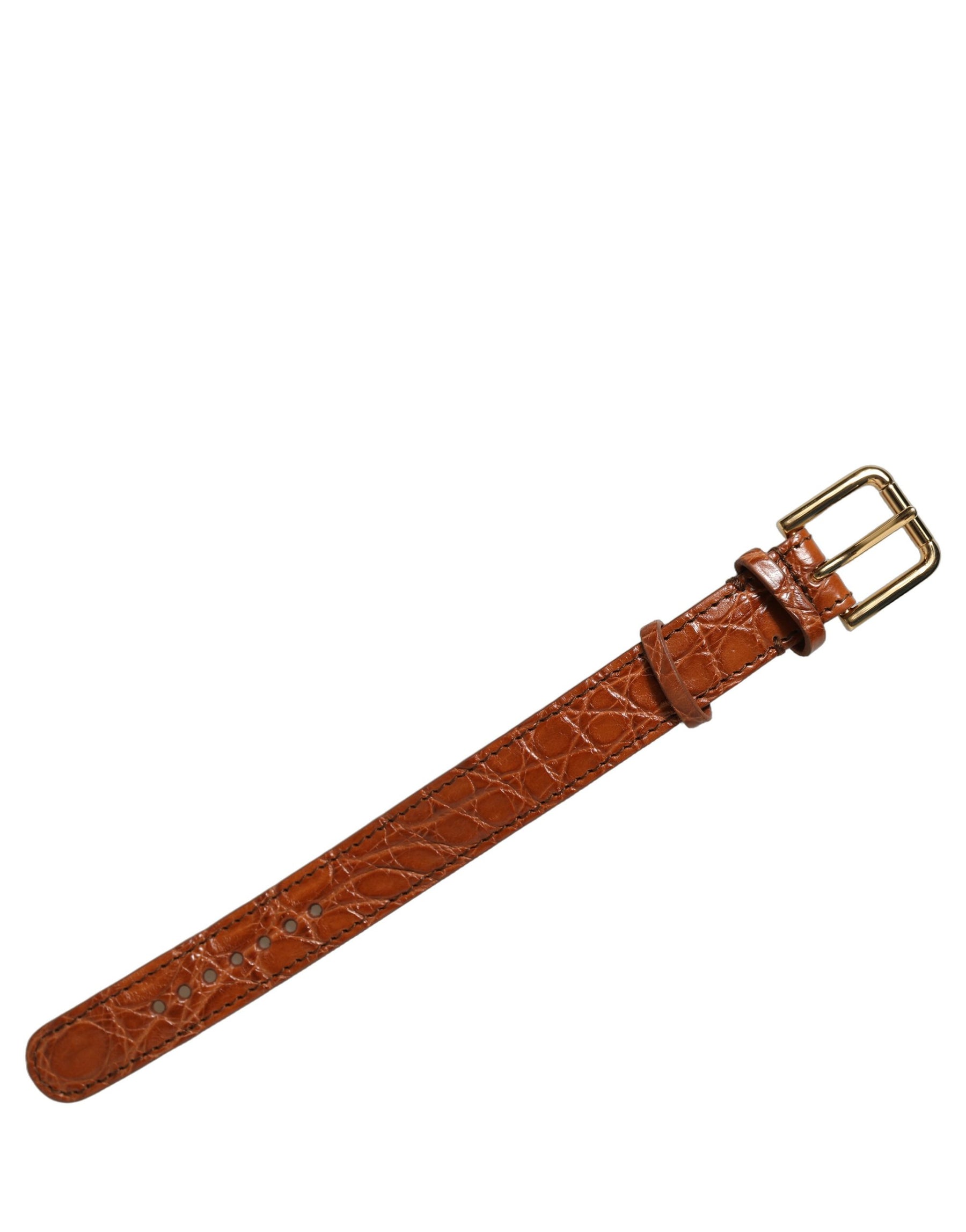 Dolce & Gabbana Brown Textured Leather Gold Buckle Belt Strap Bracelet | Regal Royce