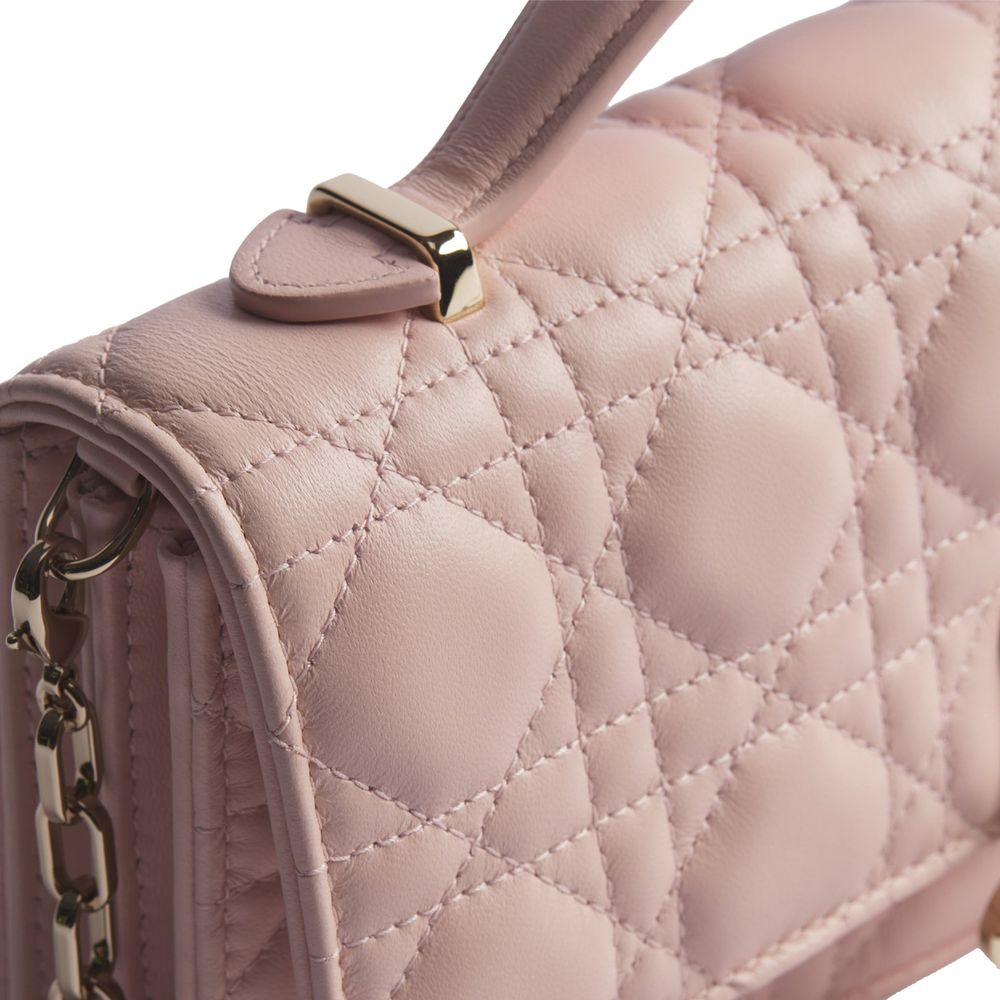 Dior Multicolor Leather Shoulder Bag | Regal Royce