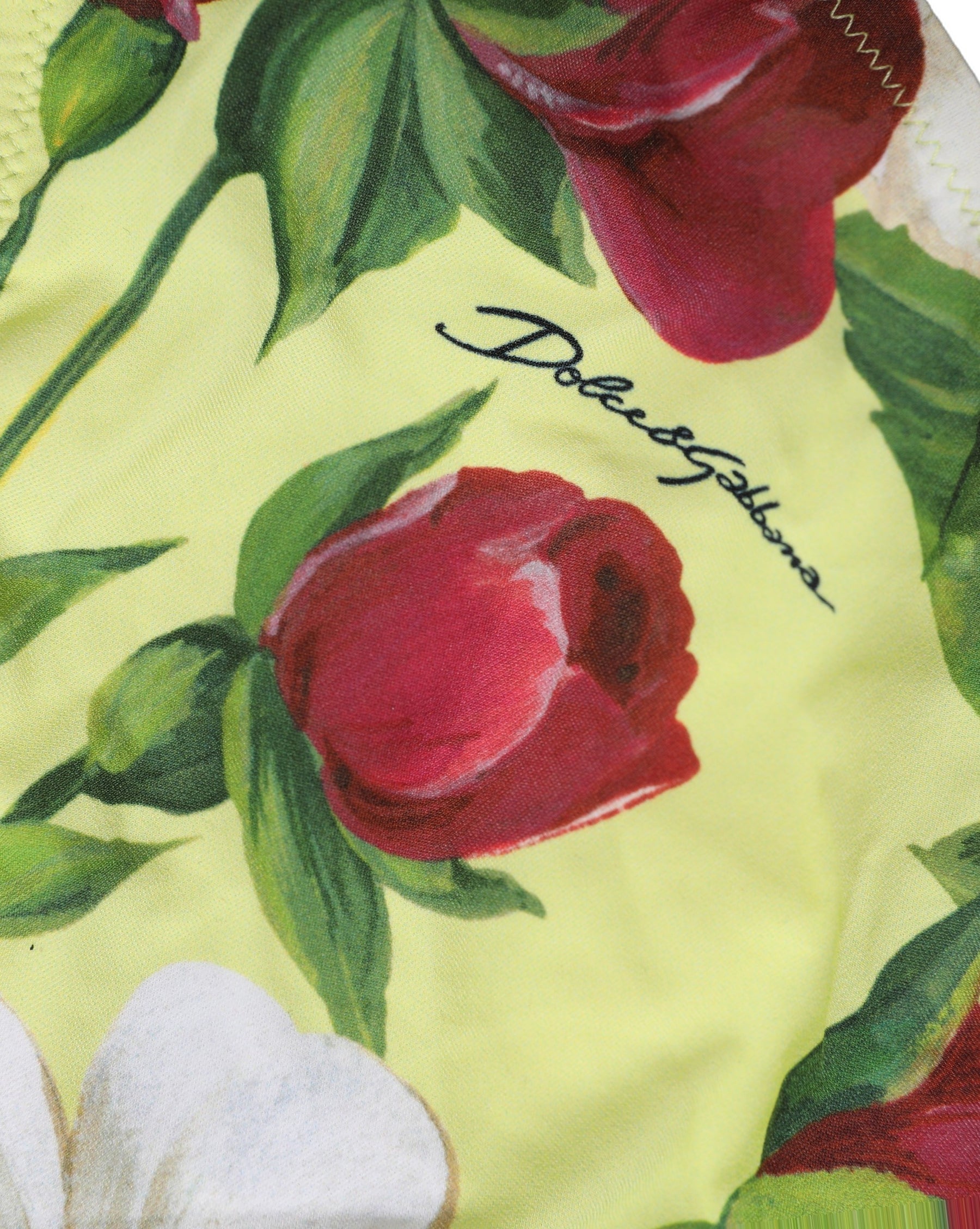 Dolce & Gabbana Yellow Floral Print Nylon Beachwear Bikini Bottom | Regal Royce