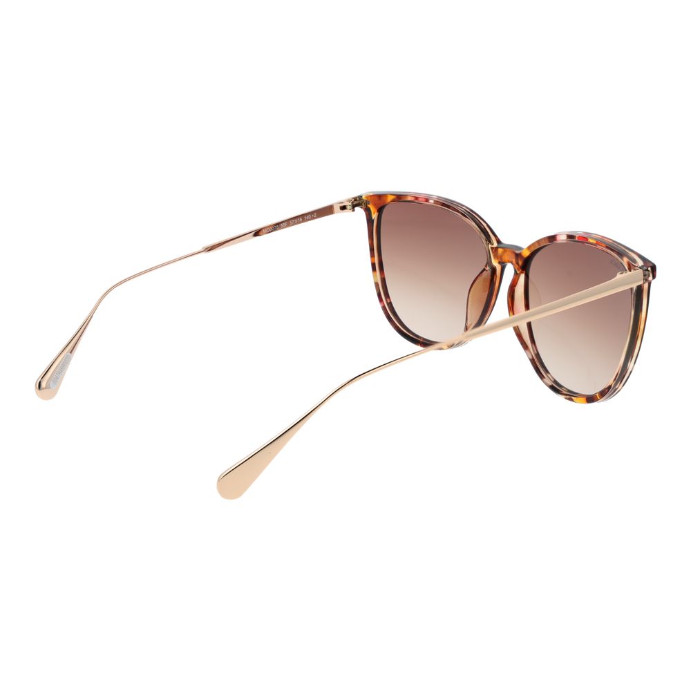 Max & Co Brown Plastic Sunglasses | Regal Royce