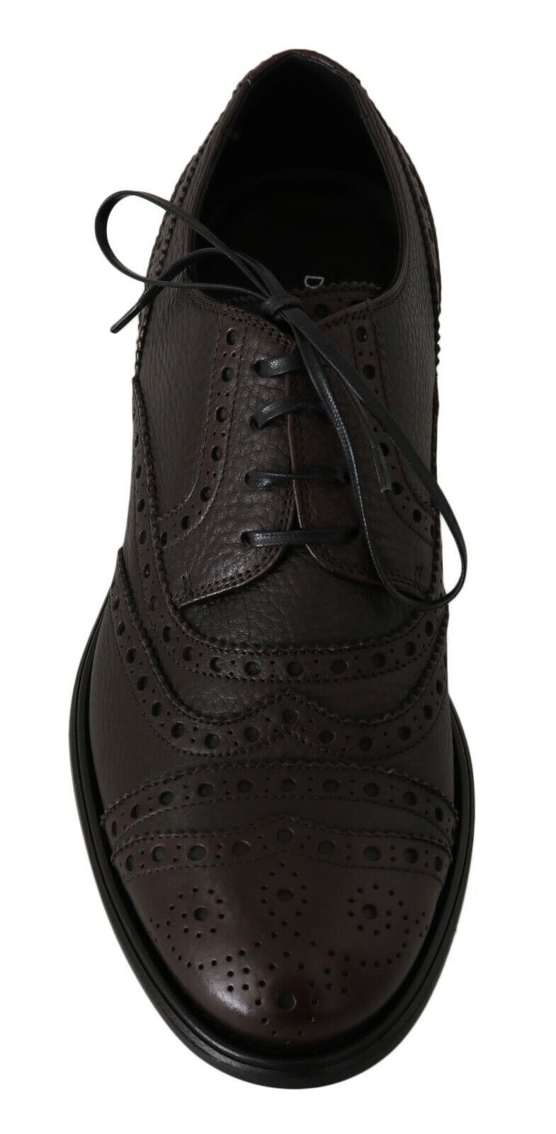Dolce & Gabbana Brown Leather Wingtip Derby Formal Shoes | Regal Royce