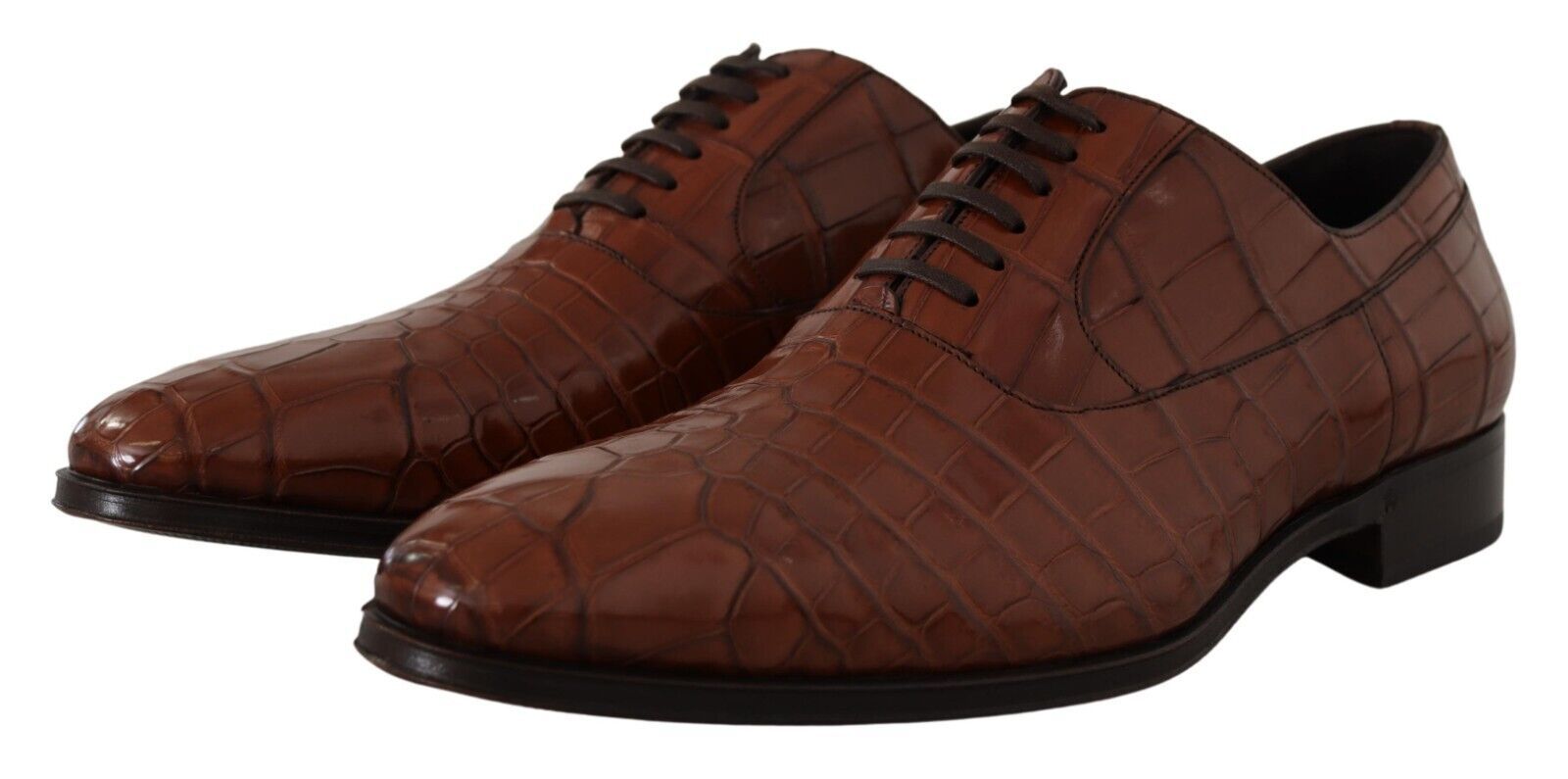 Dolce & Gabbana Brown Crocodile Leather Mens Formal Derby Shoes | Regal Royce