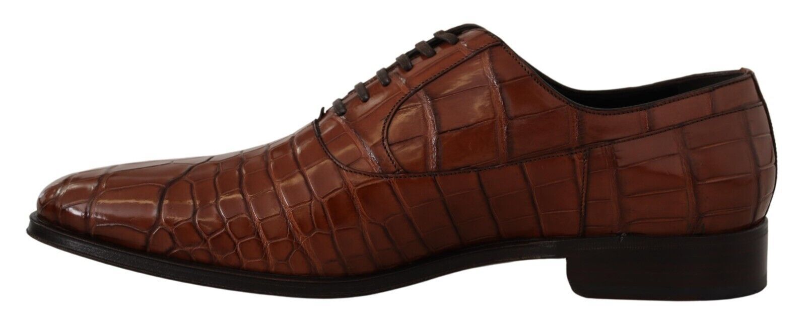 Dolce & Gabbana Brown Crocodile Leather Mens Formal Derby Shoes | Regal Royce