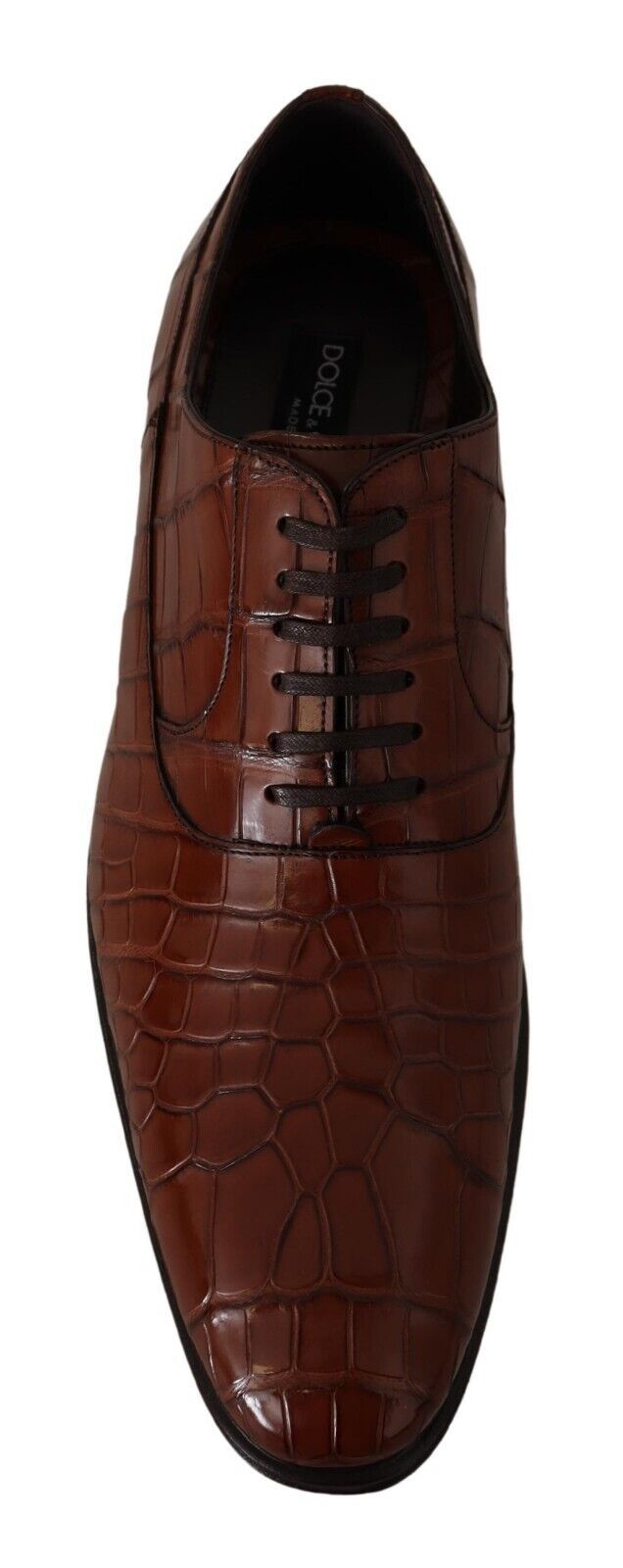 Dolce & Gabbana Brown Crocodile Leather Mens Formal Derby Shoes | Regal Royce
