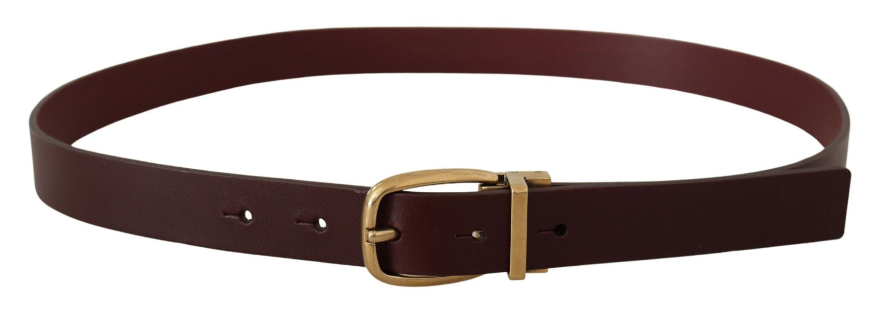Dolce & Gabbana Brown Leather Classic Gold Metal Buckle Belt | Regal Royce