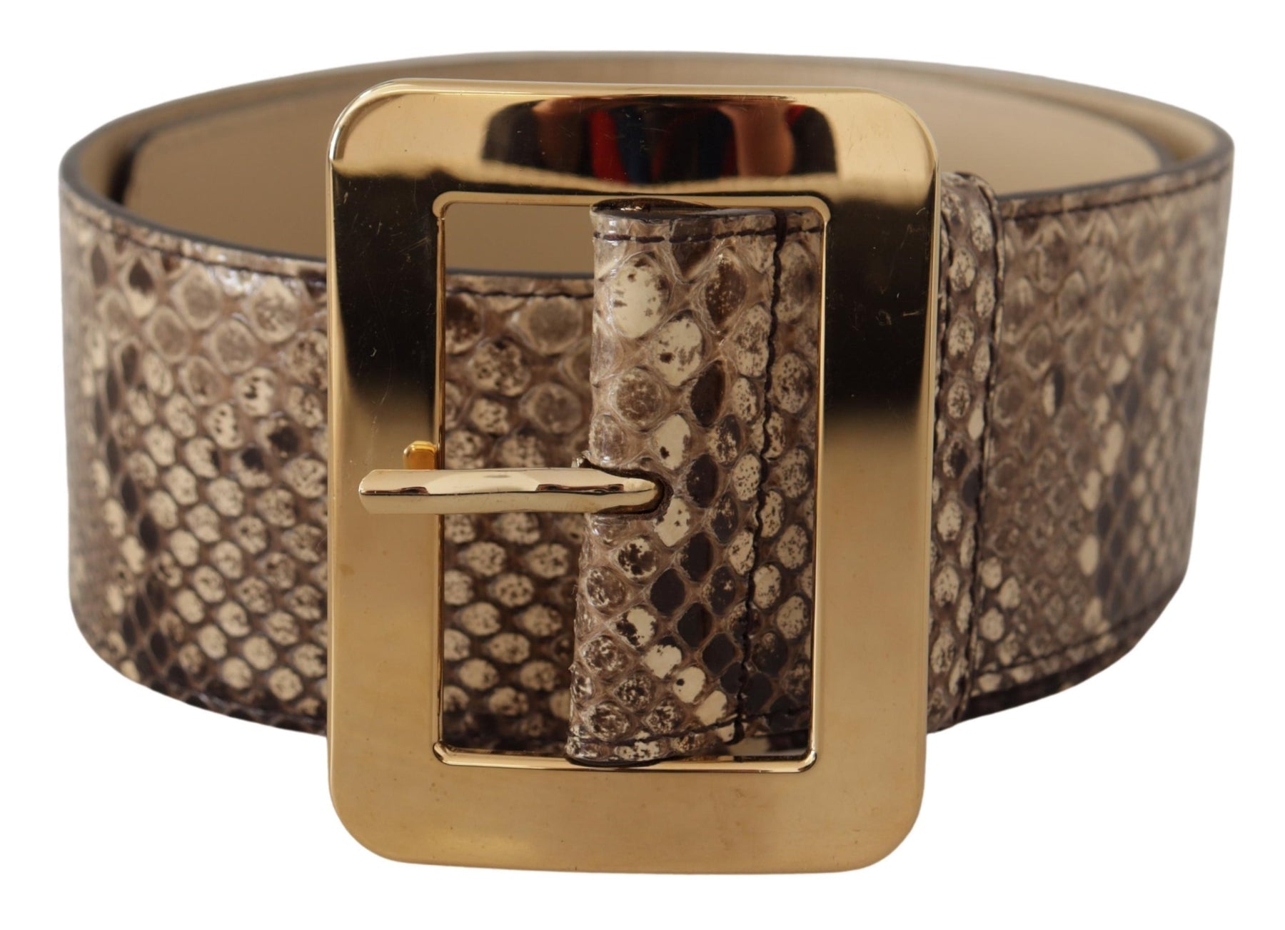 Dolce & Gabbana Brown Exotic Wide Waist Leather Gold Metal Buckle Belt | Regal Royce