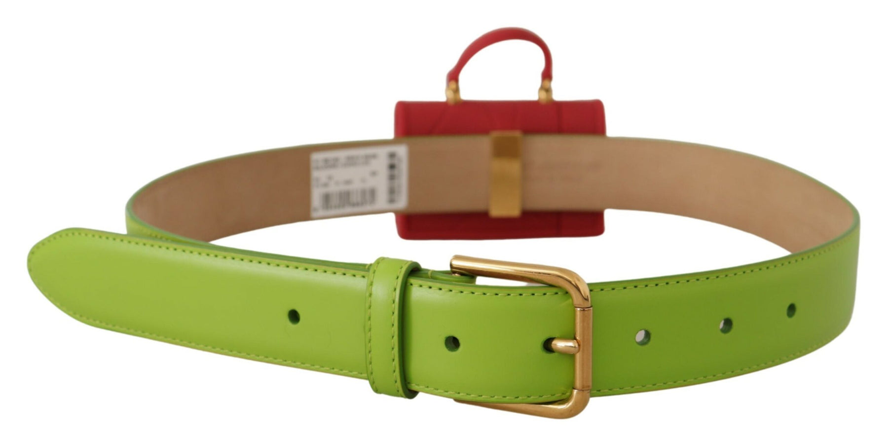 Dolce & Gabbana Green Leather Devotion Heart Micro Bag Headphones Belt | Regal Royce