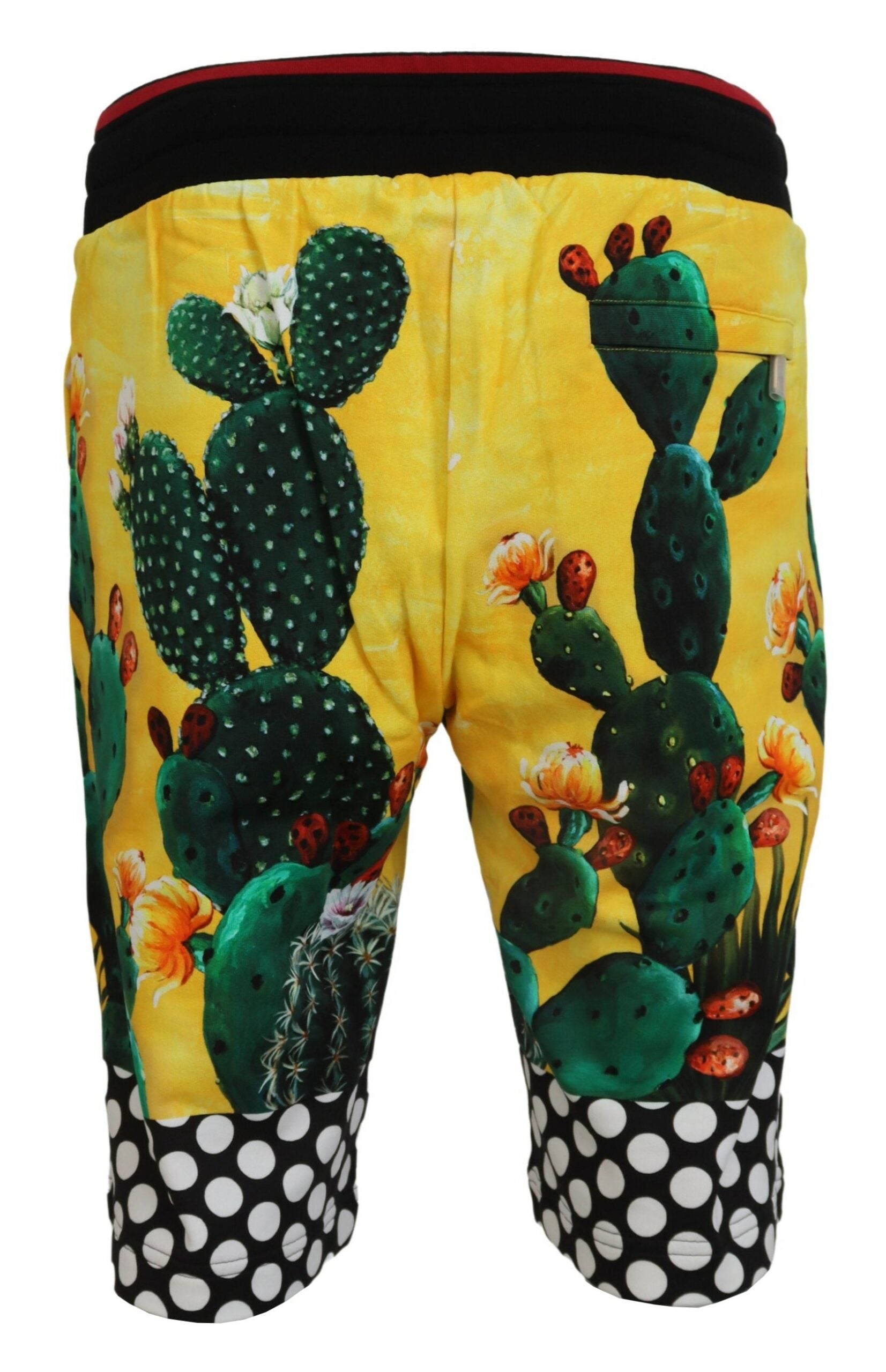 Dolce & Gabbana Multicolor Cactus Print Cotton Sweat Shorts | Regal Royce