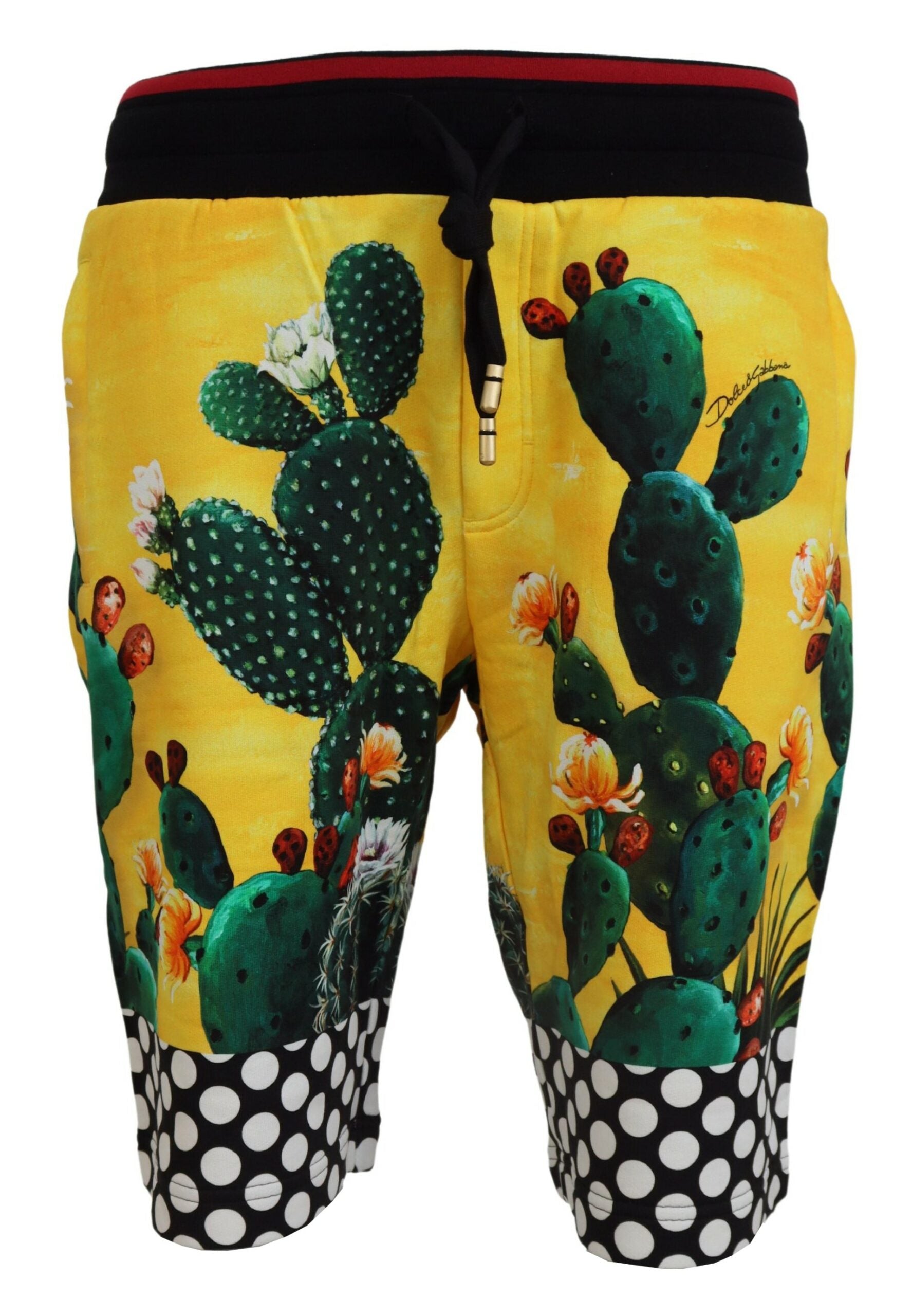Dolce & Gabbana Multicolor Cactus Print Cotton Sweat Shorts | Regal Royce