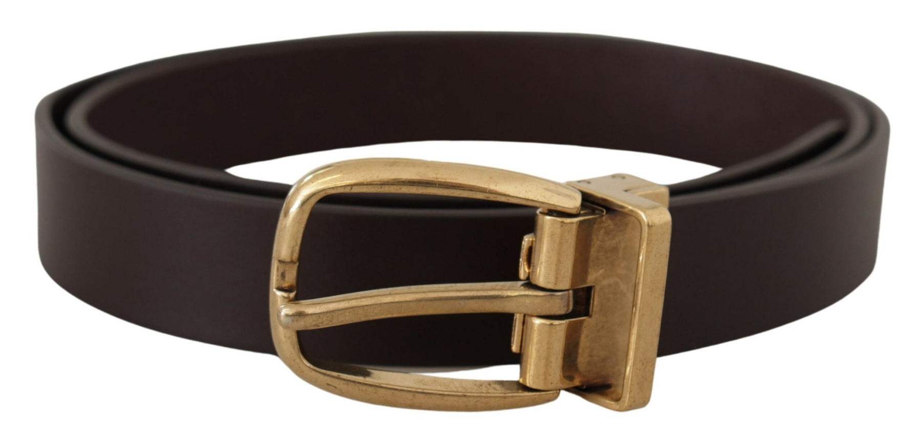 Dolce & Gabbana Dark Brown Calf Leather Gold Tone Metal Buckle | Regal Royce
