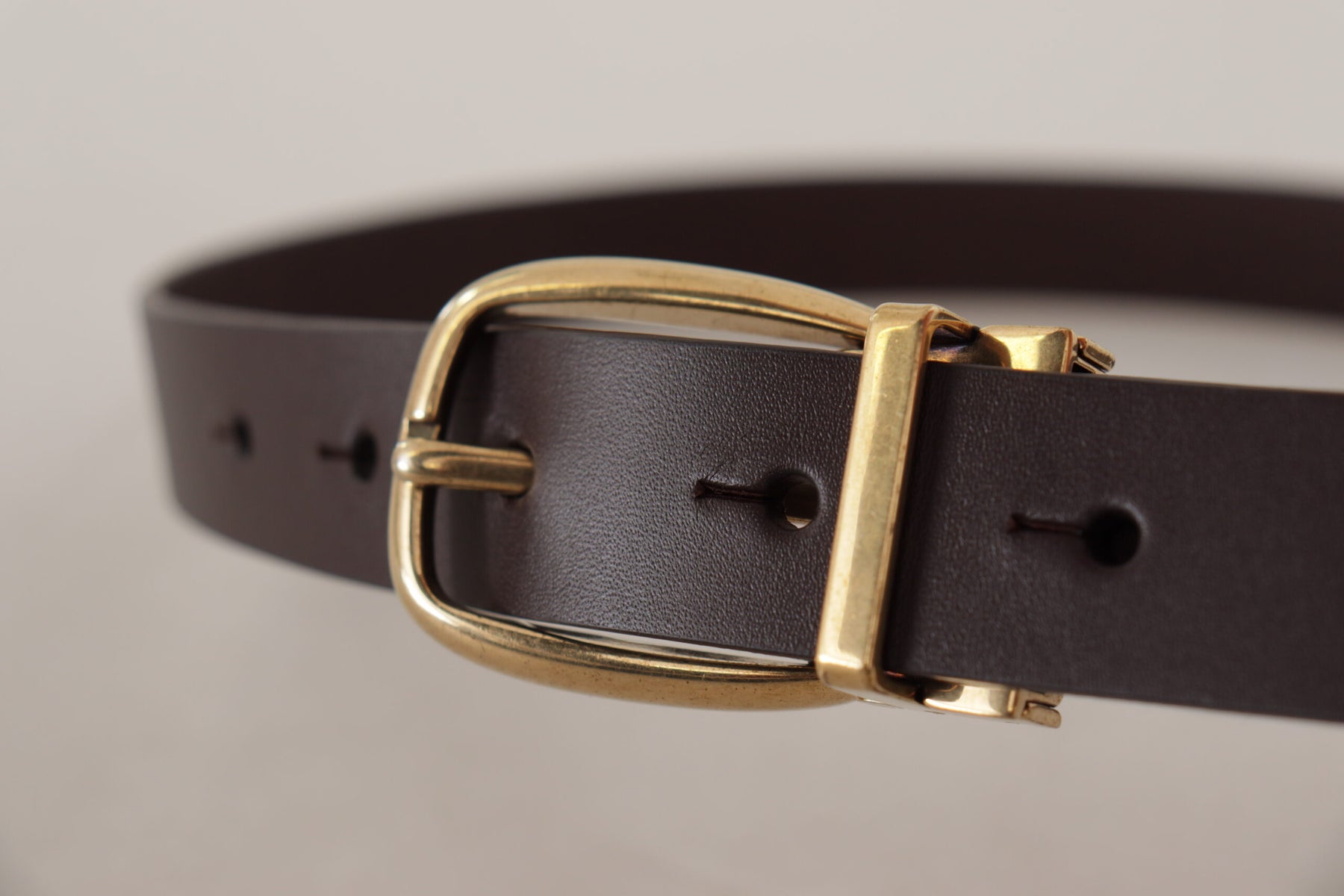 Dolce & Gabbana Dark Brown Calf Leather Gold Tone Metal Buckle | Regal Royce