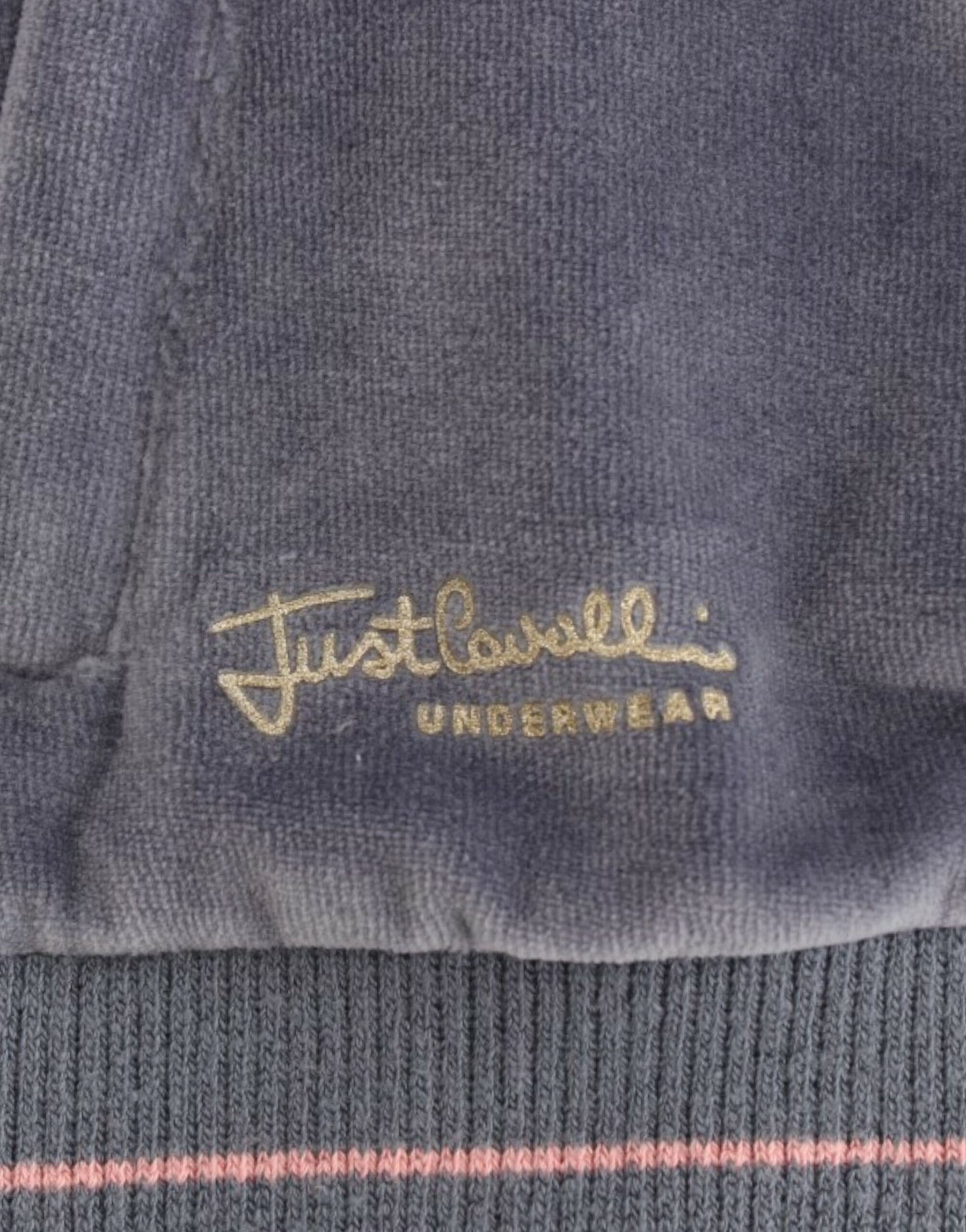 Cavalli Blue velvet zipup sweater | Regal Royce