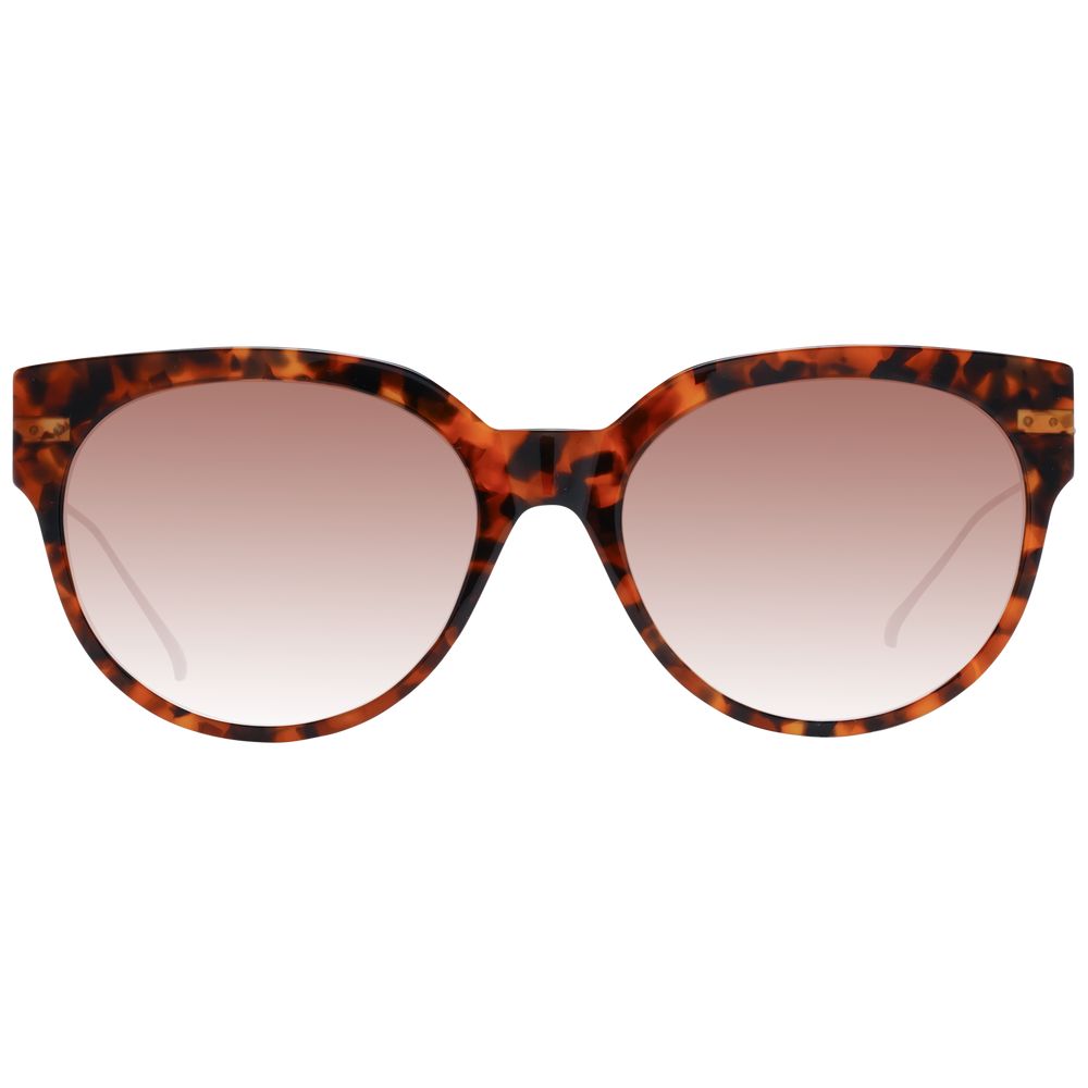 Scotch & Soda Brown Acetate Sunglasses | Regal Royce