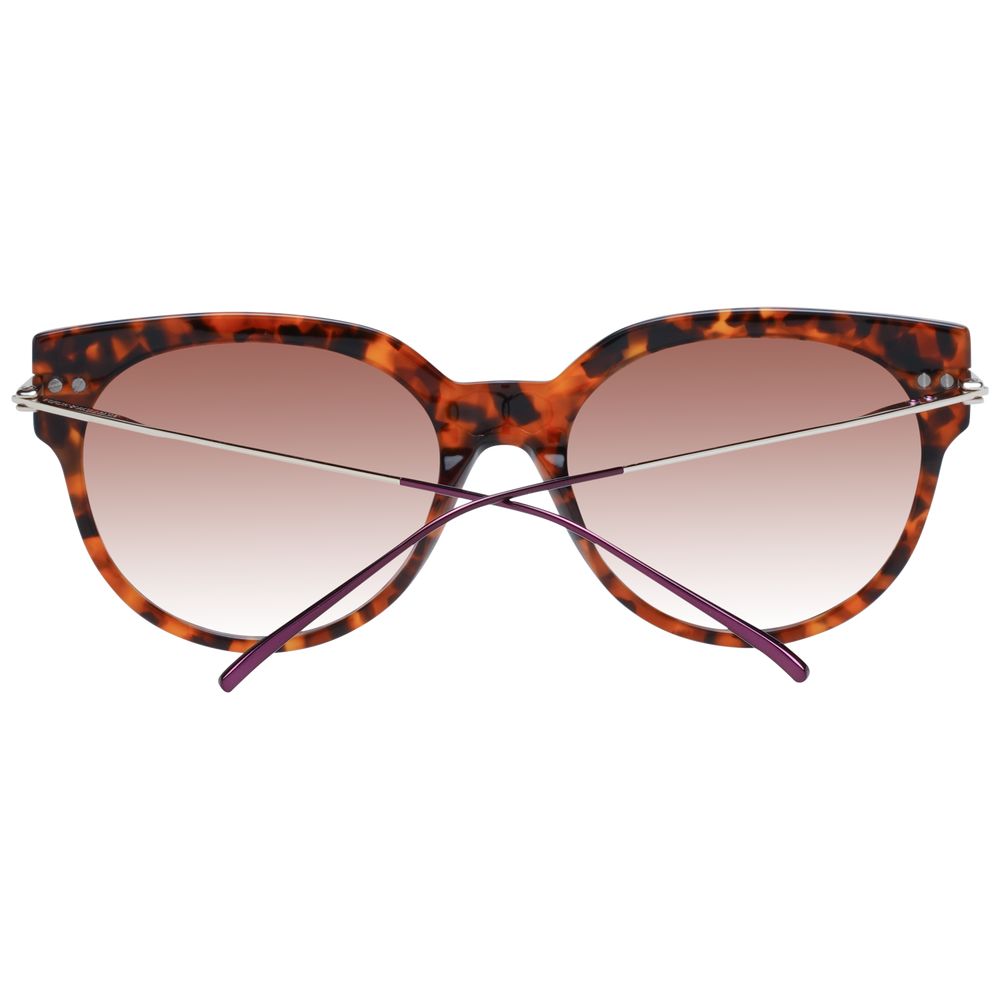 Scotch & Soda Brown Acetate Sunglasses | Regal Royce