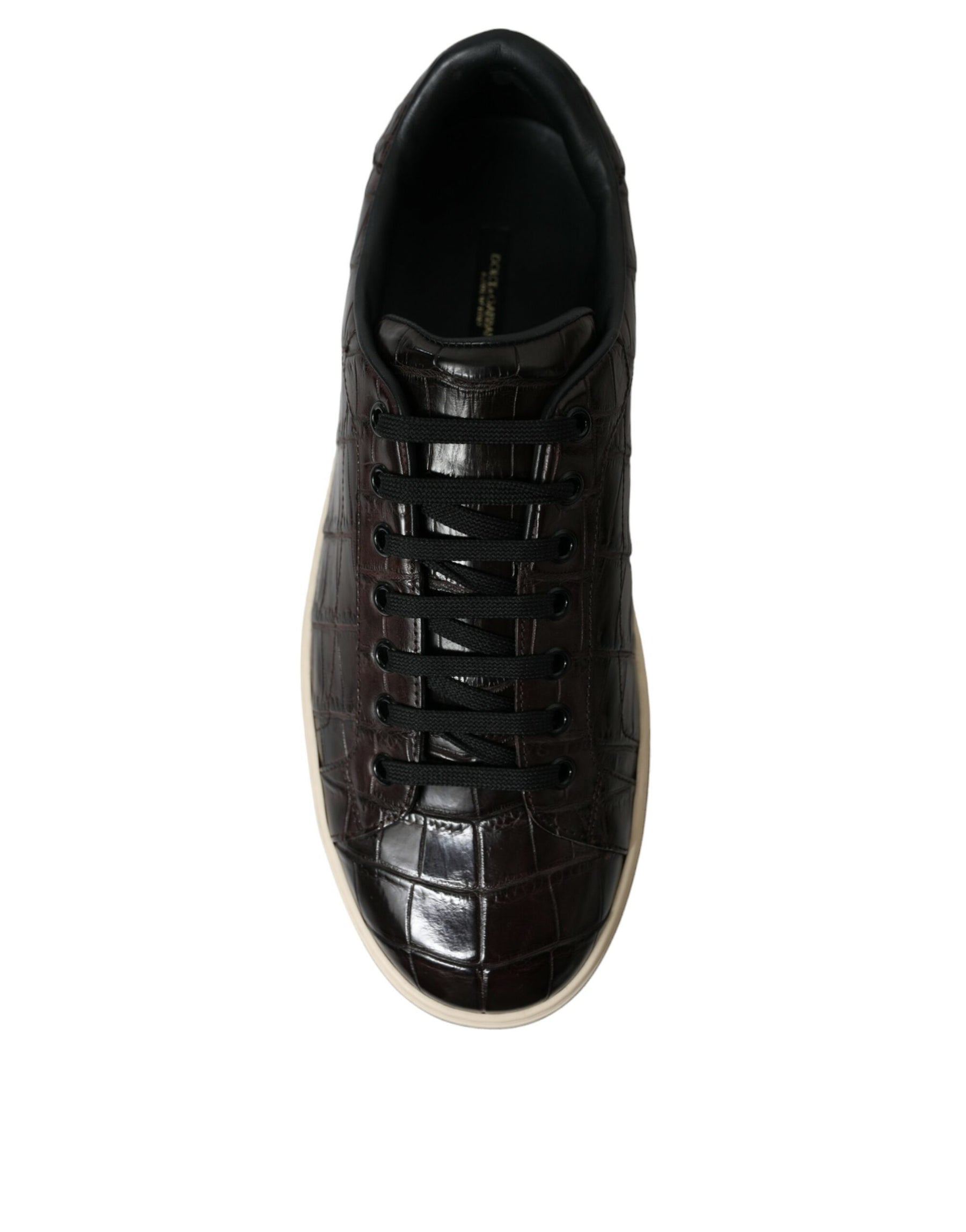 Dolce & Gabbana Brown Croc Exotic Leather Men Casual Sneakers Shoes | Regal Royce