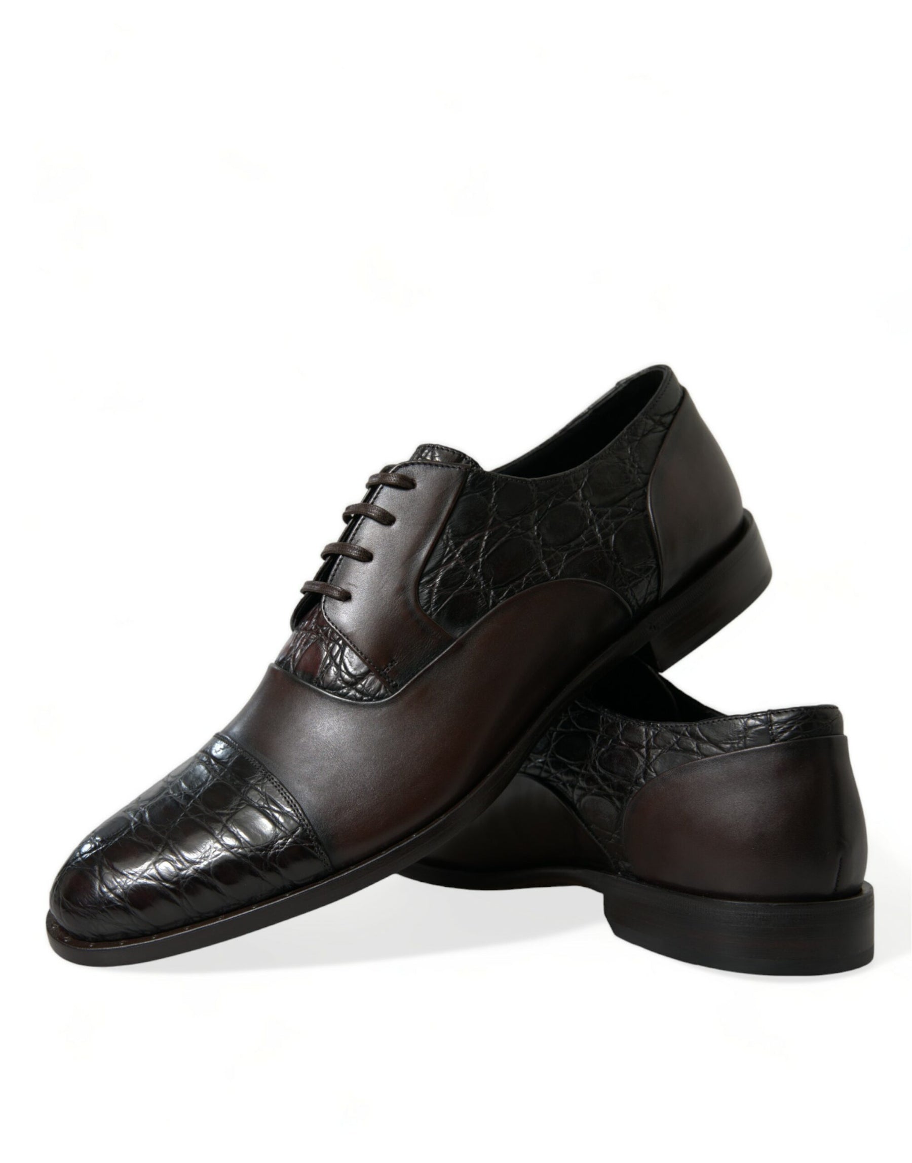 Dolce & Gabbana Brown Exotic Leather Formal Men Dress Shoes | Regal Royce