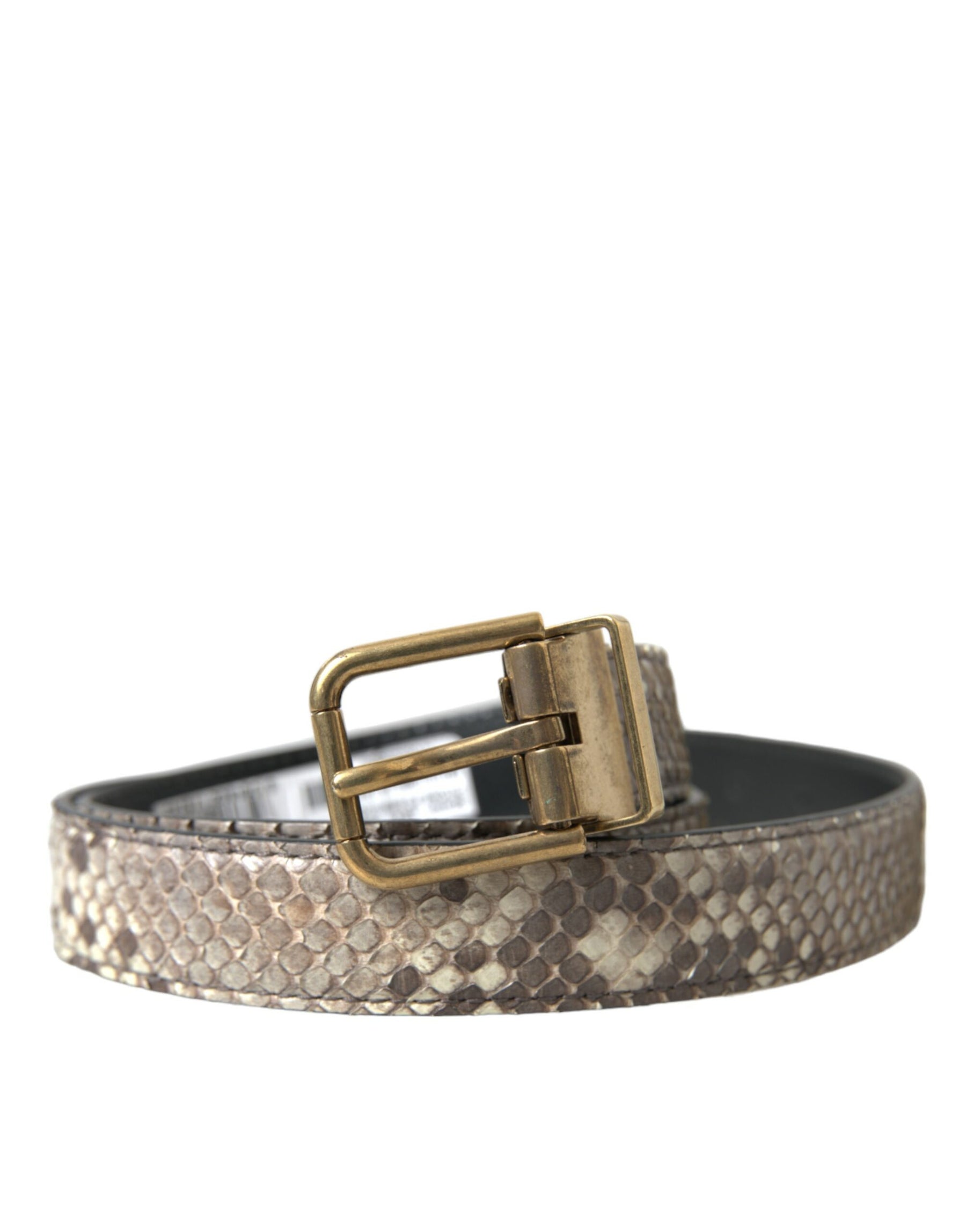 Dolce & Gabbana Brown Python Leather Gold Metal Buckle Belt | Regal Royce