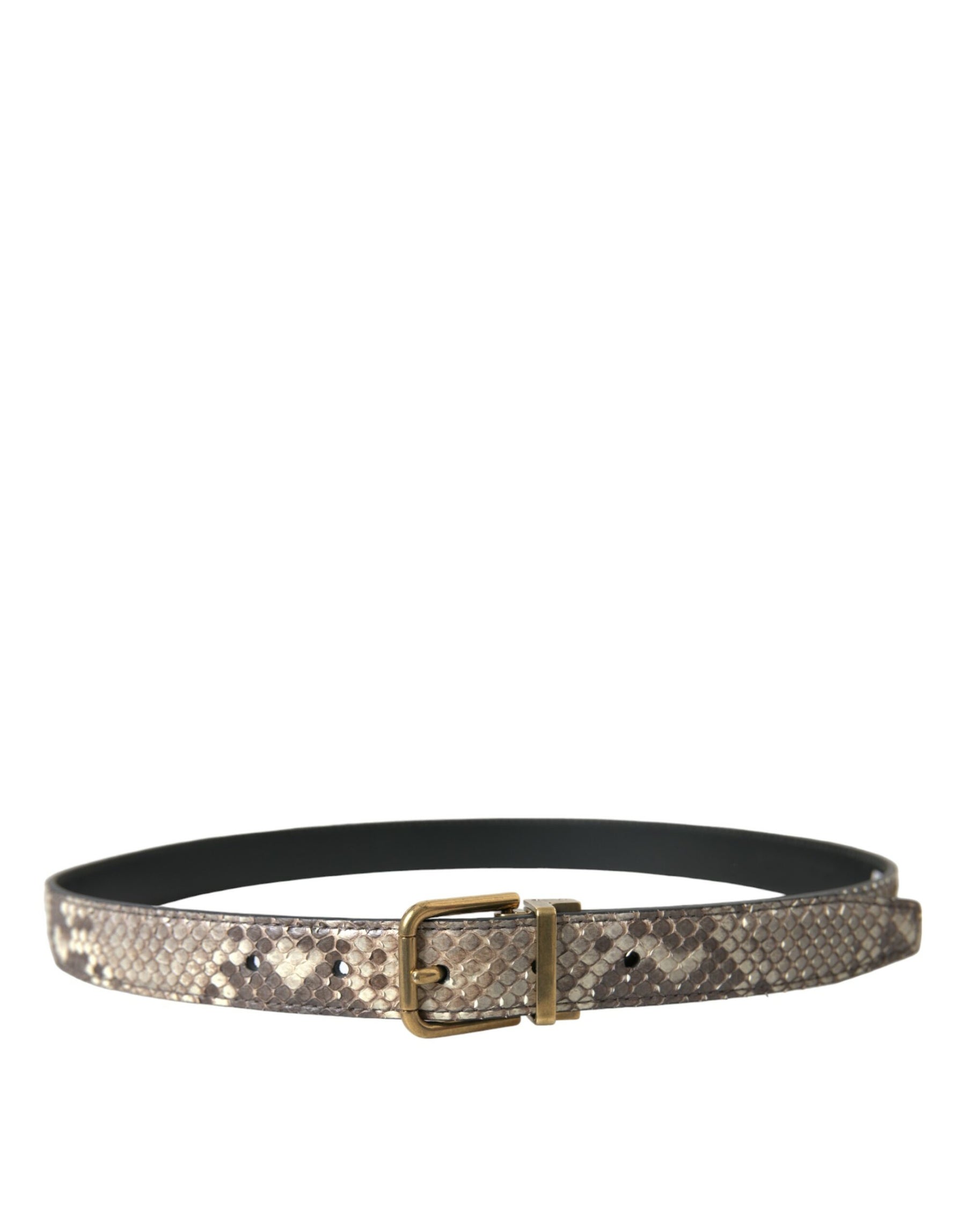 Dolce & Gabbana Brown Python Leather Gold Metal Buckle Belt | Regal Royce