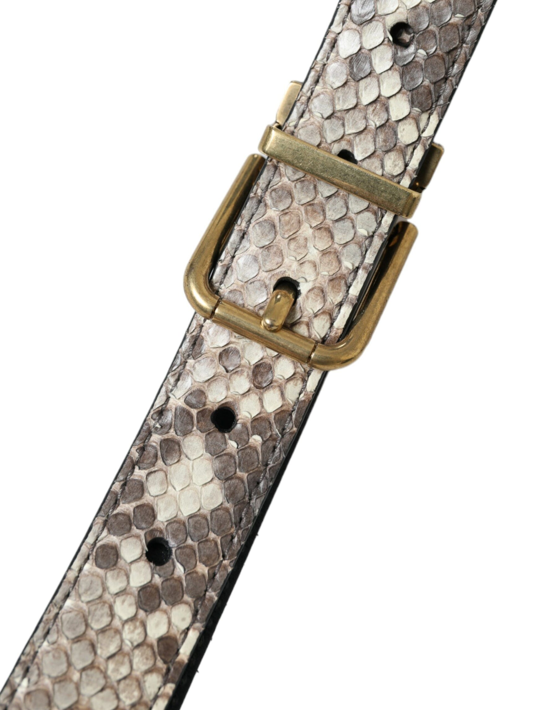 Dolce & Gabbana Brown Python Leather Gold Metal Buckle Belt | Regal Royce