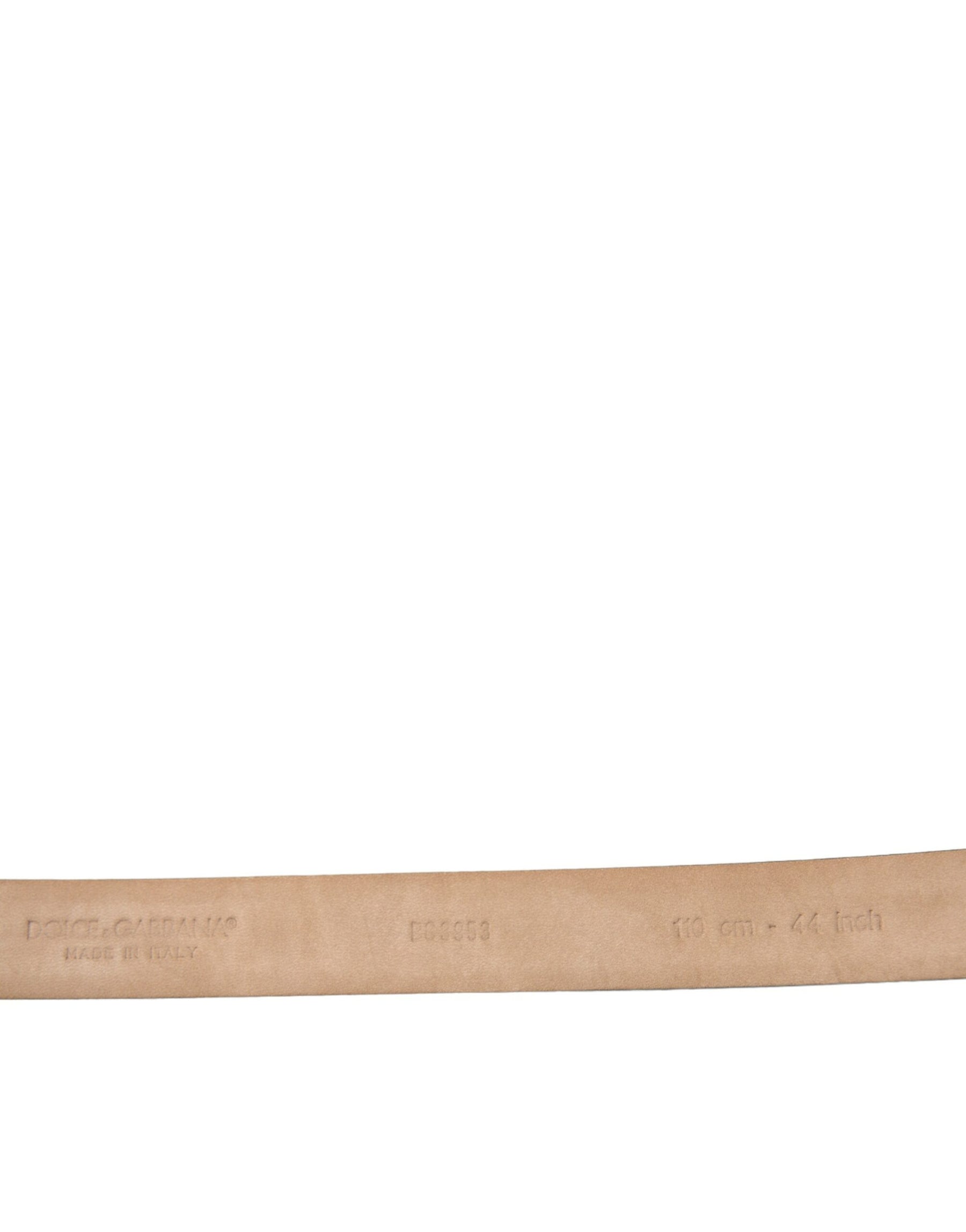 Dolce & Gabbana Dark Brown Leather Silver Metal Buckle Belt | Regal Royce