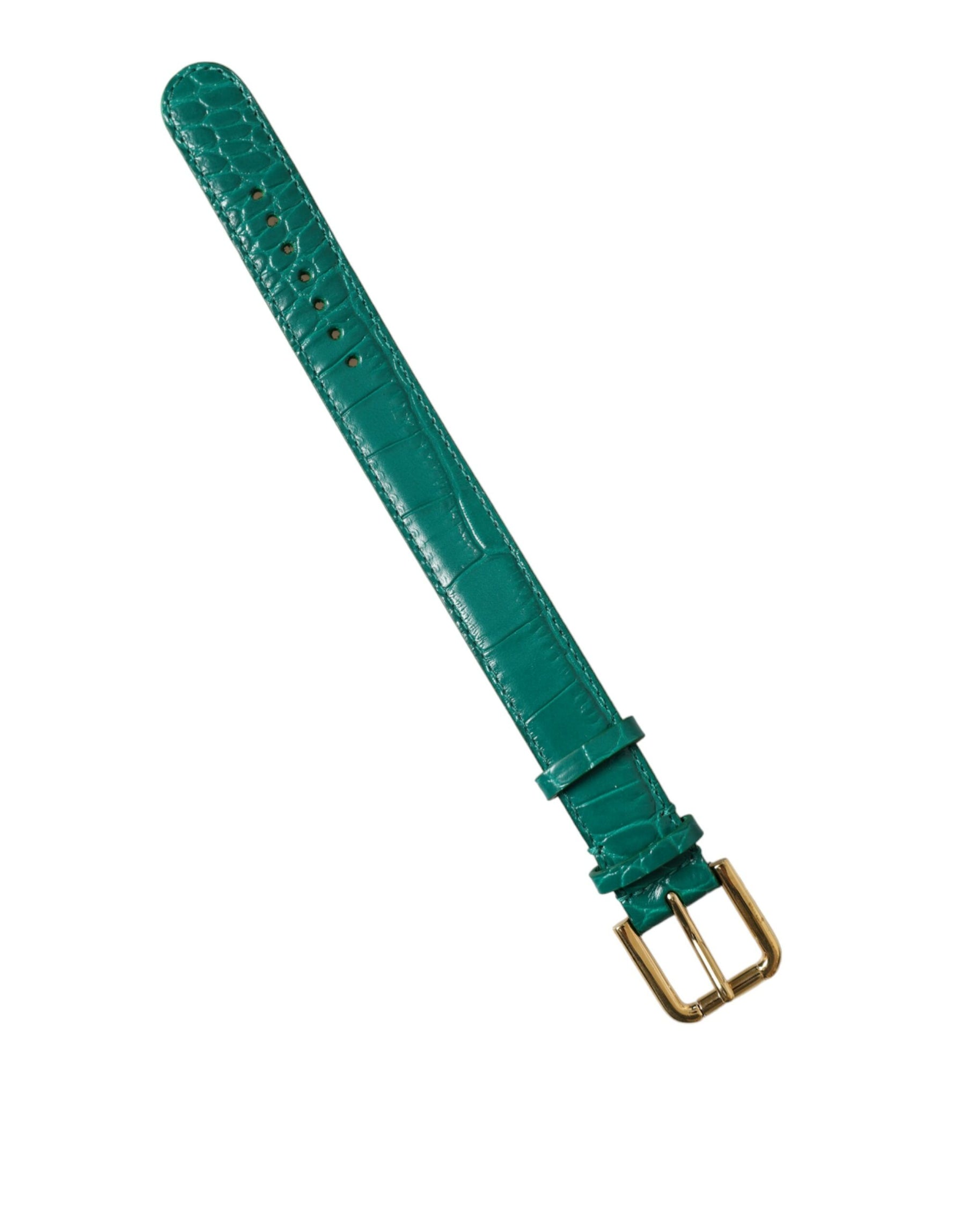 Dolce & Gabbana Green Textured Leather Gold Tone Metal Buckle Neckband | Regal Royce